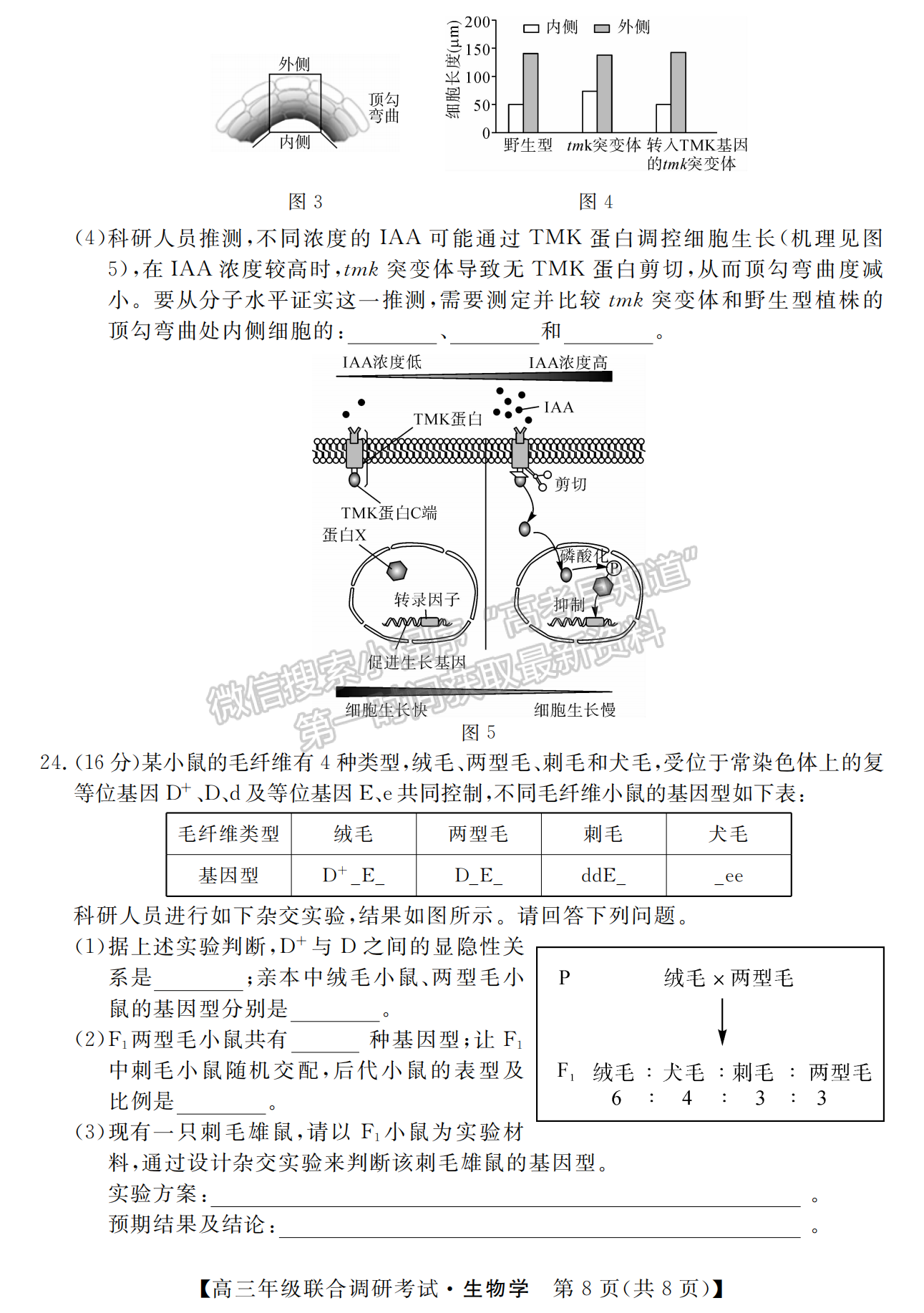 2023年湖北省部分市州元月高三年級聯(lián)合調(diào)研生物試卷及參考答案