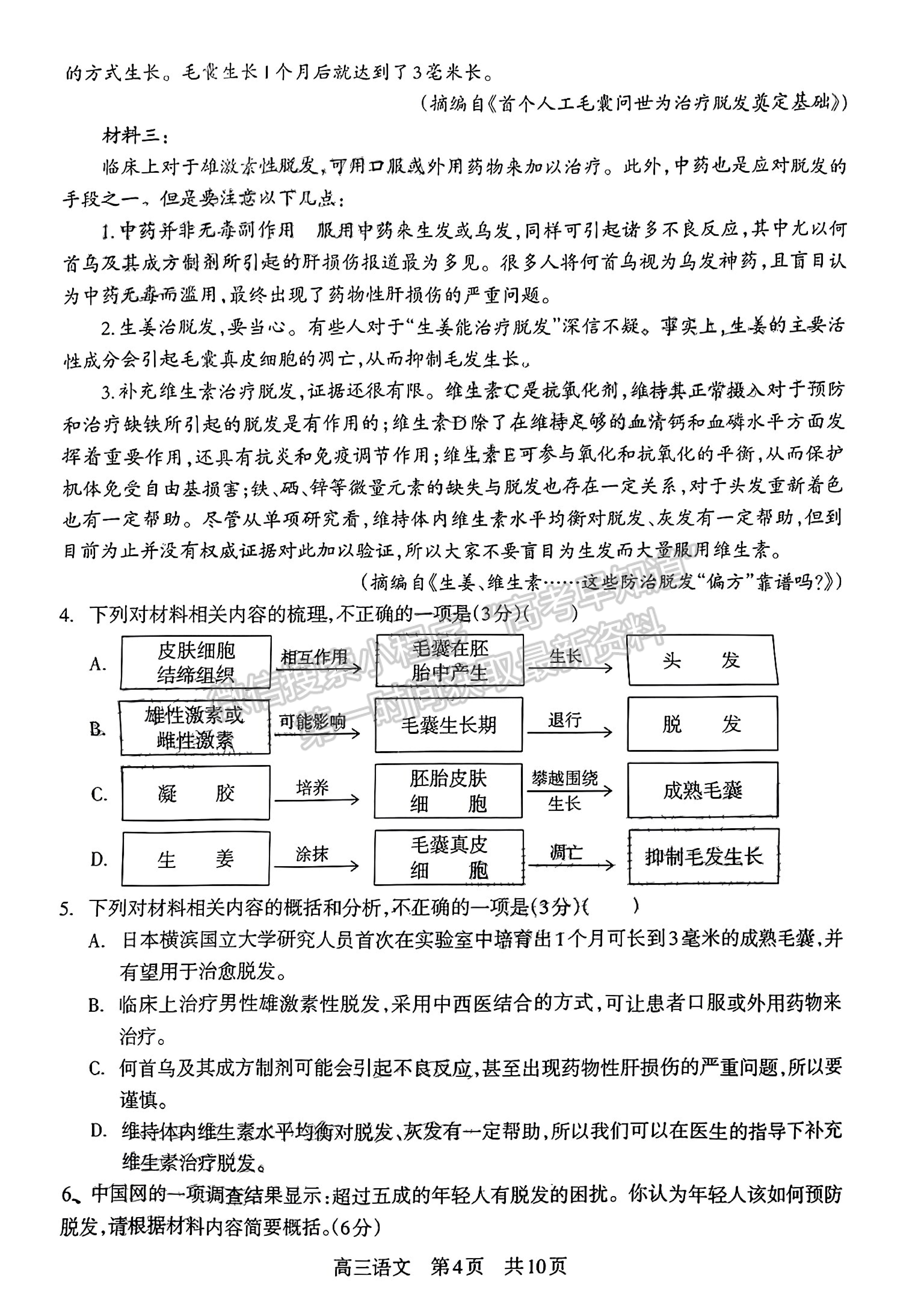 2023四川省攀枝花市2023屆高三第二次統(tǒng)一考試語文試題