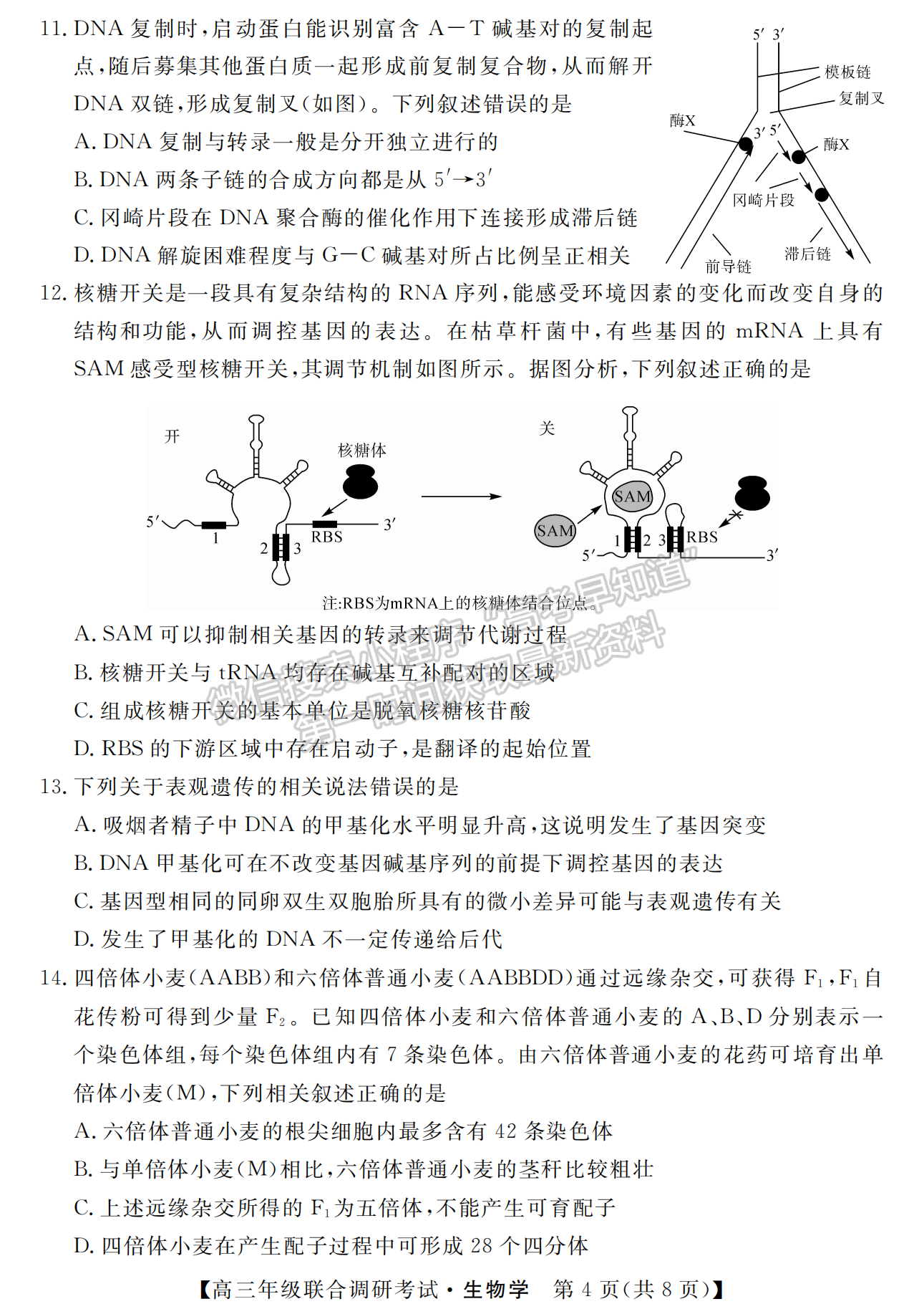 2023年湖北省部分市州元月高三年級聯(lián)合調(diào)研生物試卷及參考答案