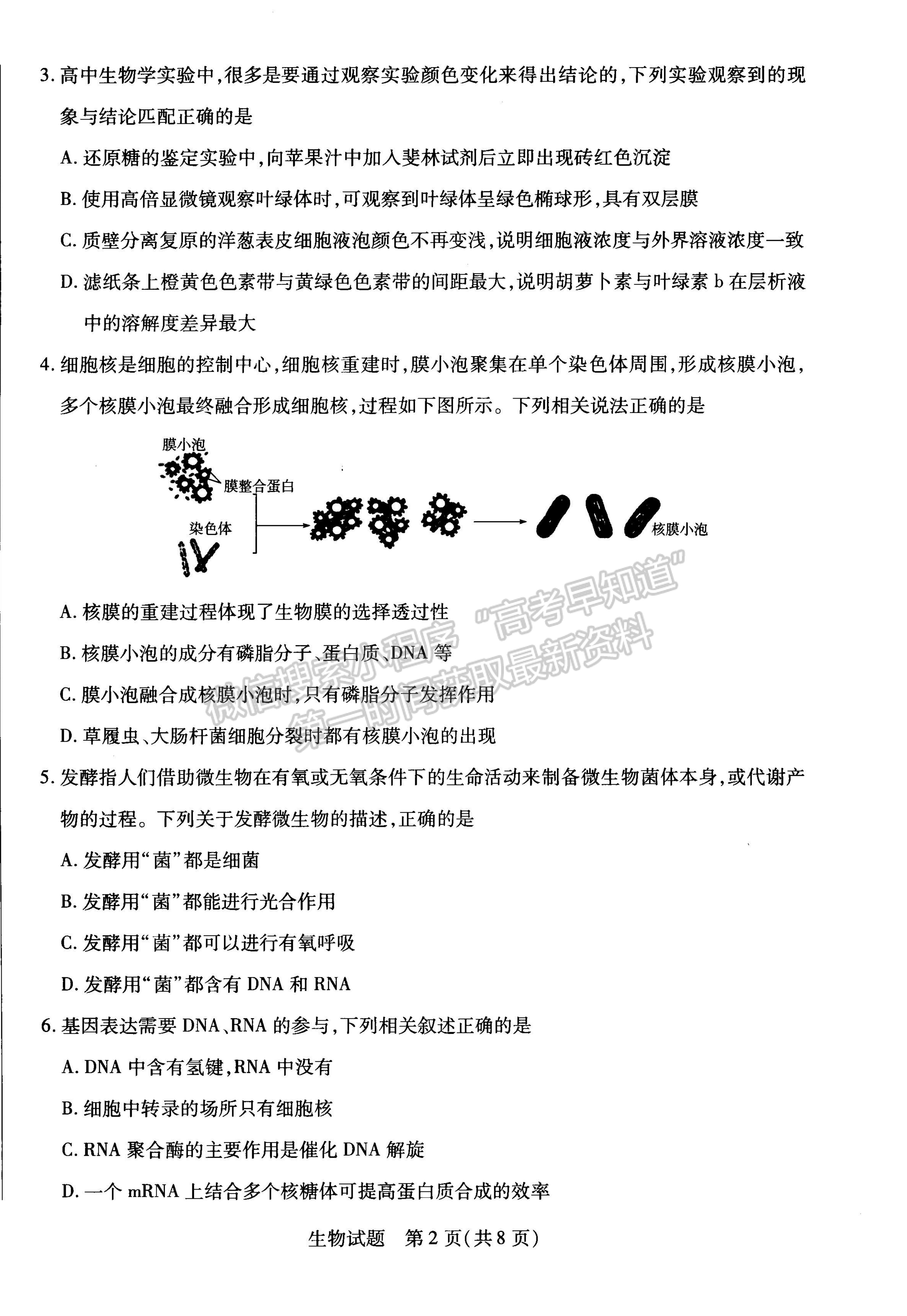 2023河南省安陽市高三上學期畢業(yè)班調研考試（10月份）生物試題及參考答案