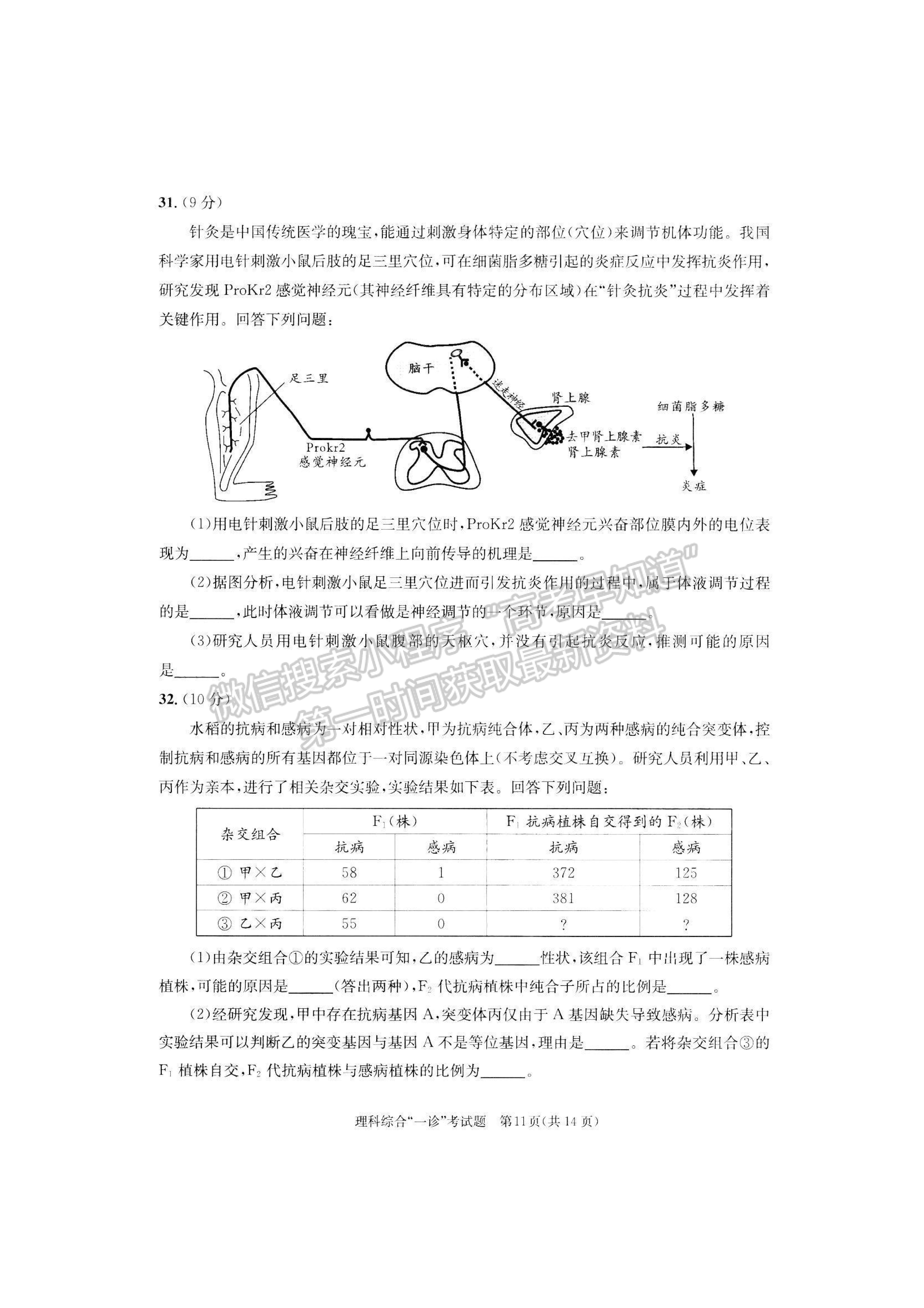 2023四川省成都市2020級(jí)高中畢業(yè)班第一次診斷性檢測理科綜合試題及答案