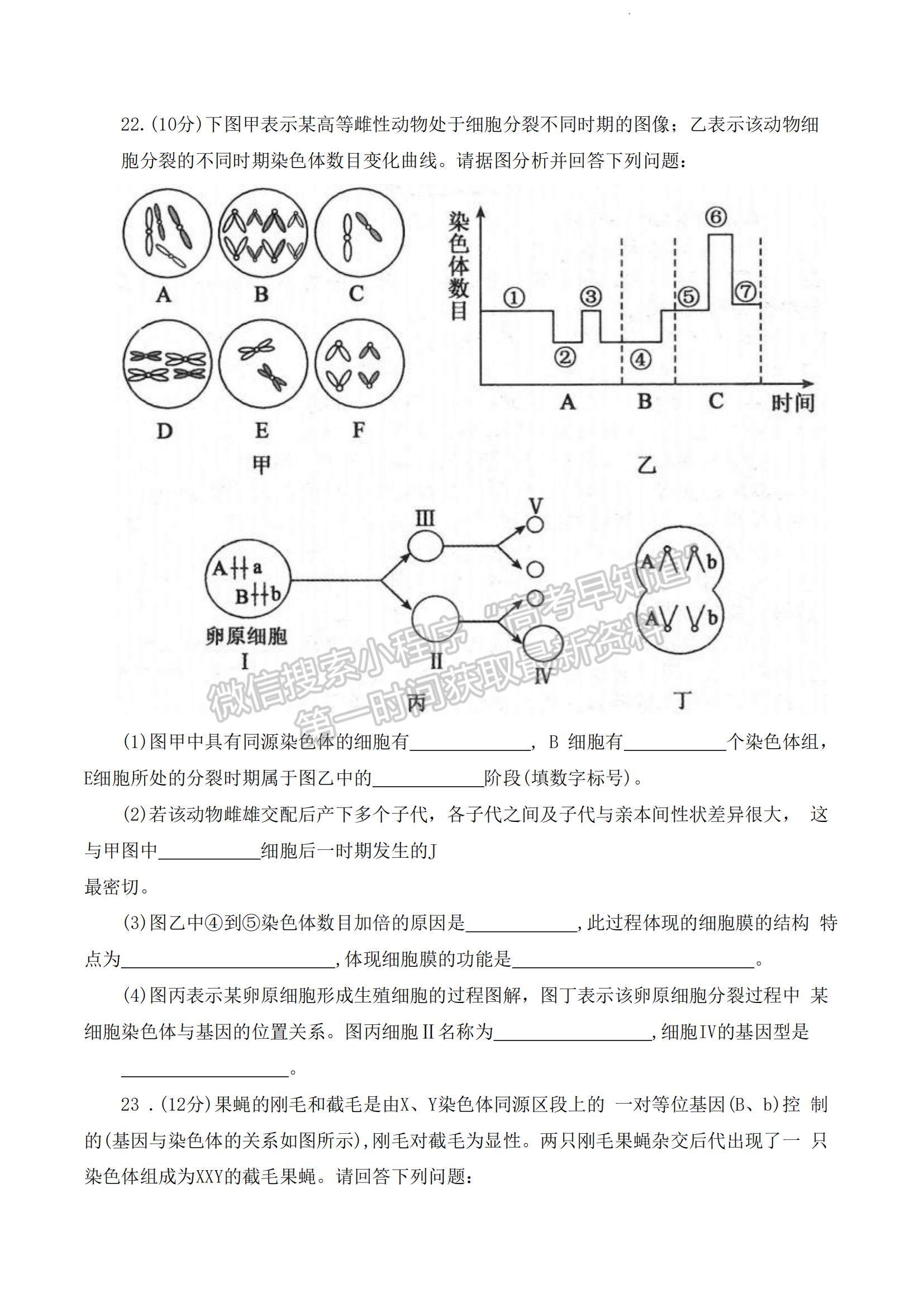 2023河南省部分名校高三上学期第一次阶段测试生物试题及参考答案