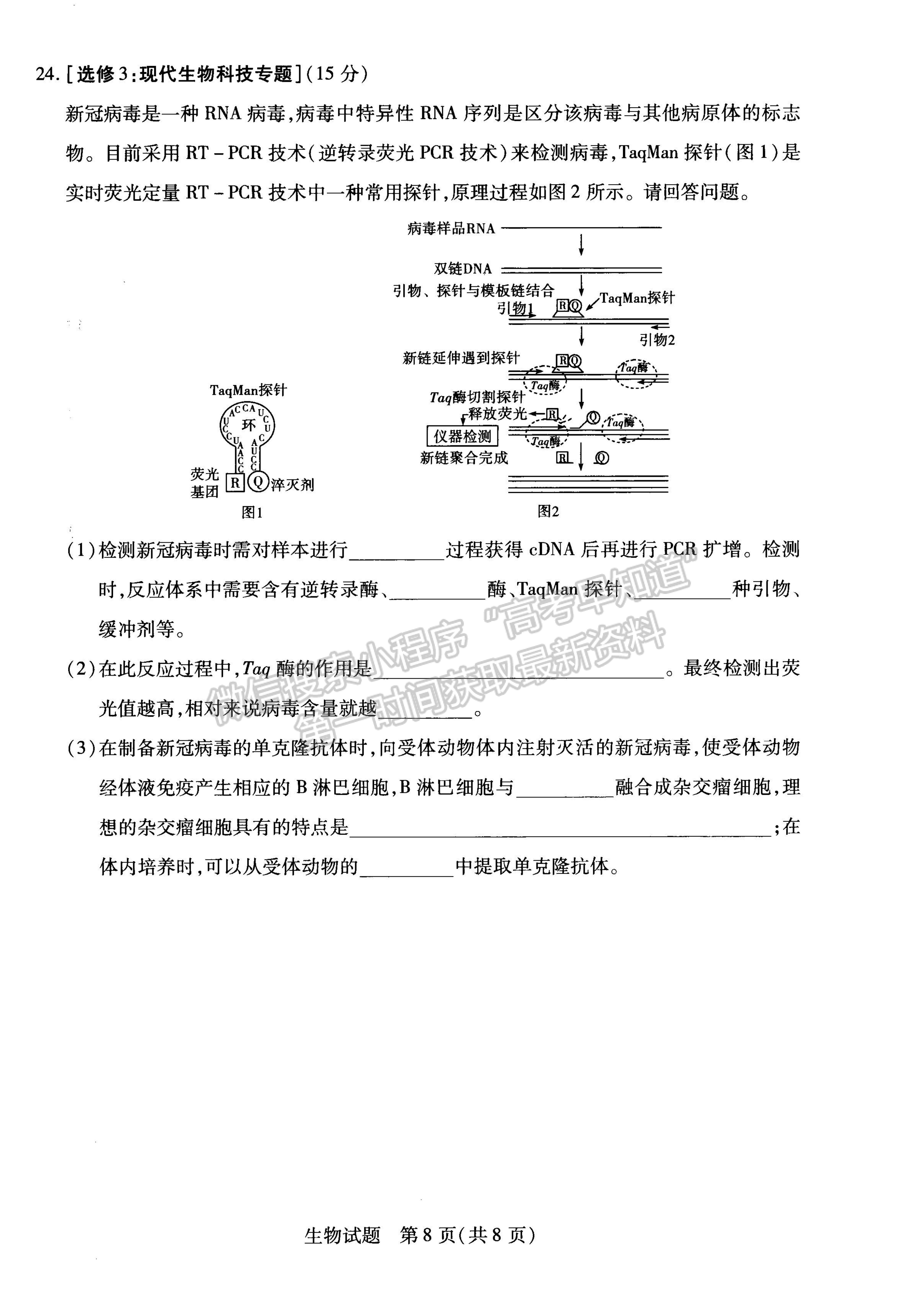 2023河南省安陽市高三上學(xué)期畢業(yè)班調(diào)研考試（10月份）生物試題及參考答案