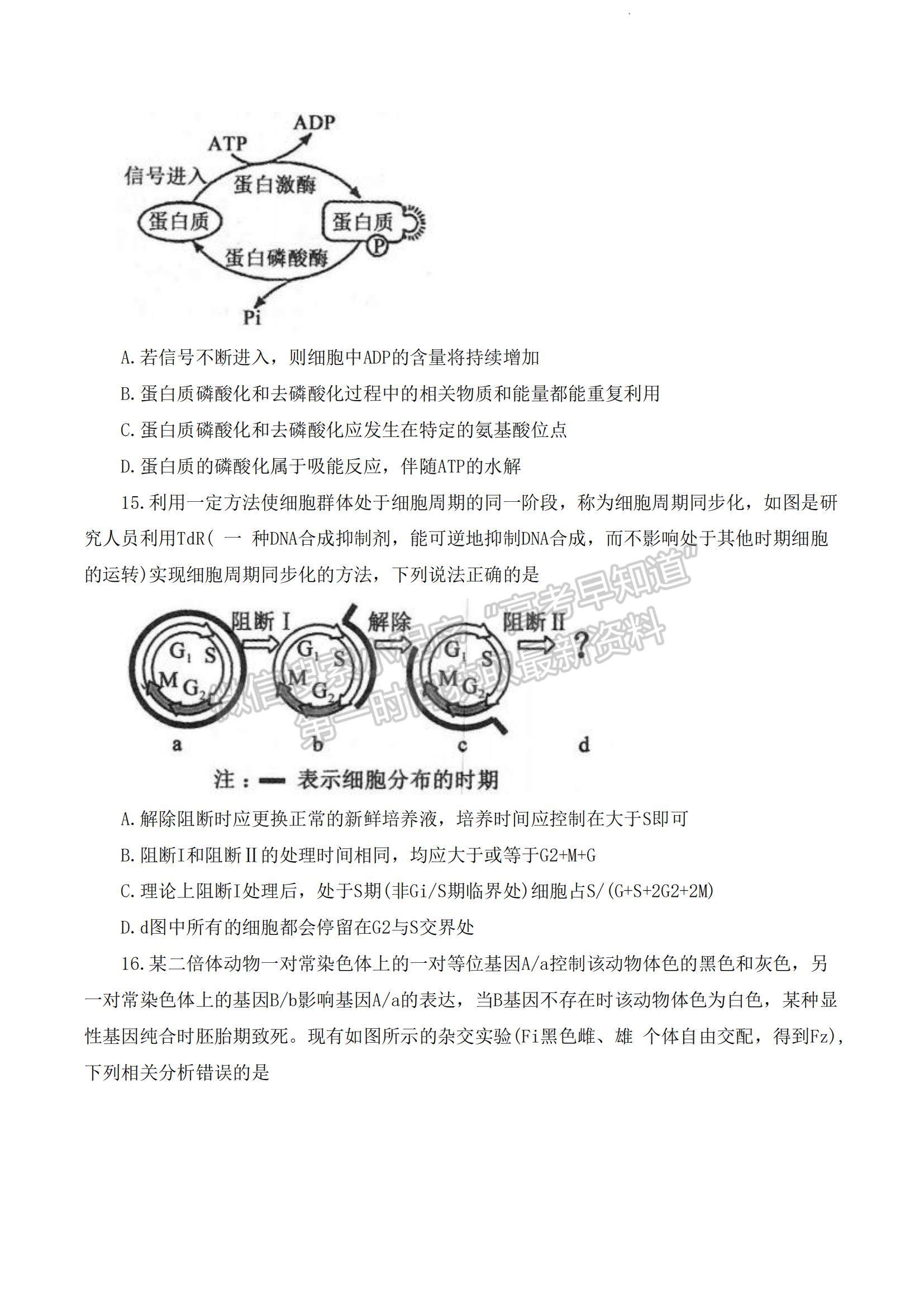 2023河南省部分名校高三上學(xué)期第一次階段測試生物試題及參考答案