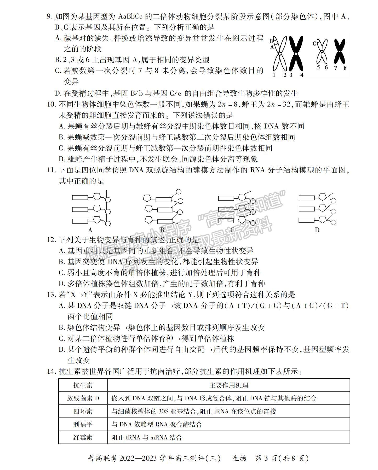 2023河南省洛陽市普通高中聯(lián)考高三上學(xué)期測(cè)評(píng)（三）生物試題及參考答案