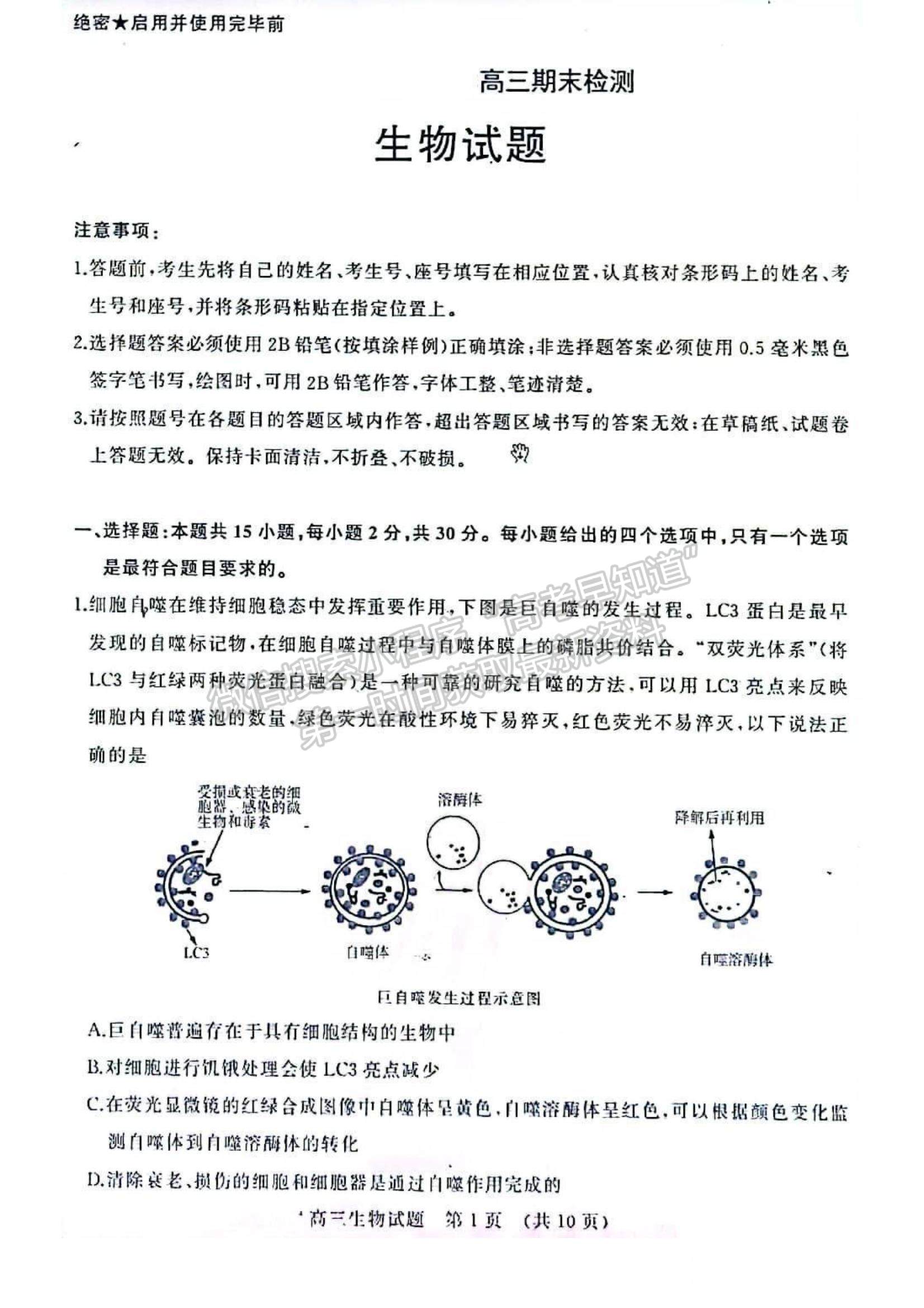 2023年山東省濟(jì)南市高三上學(xué)期期末考試-生物試卷及答案