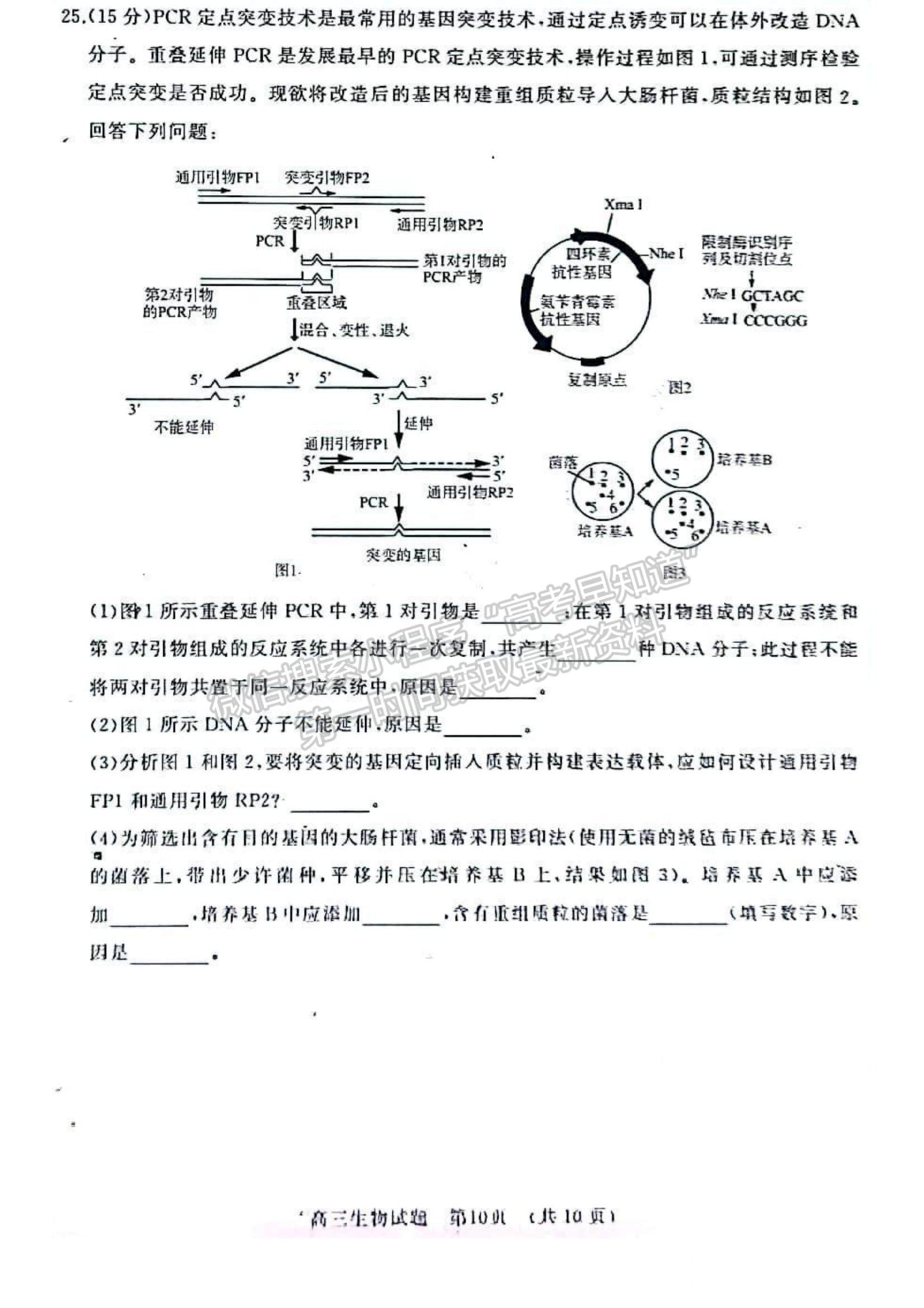 2023年山東省濟南市高三上學期期末考試-生物試卷及答案