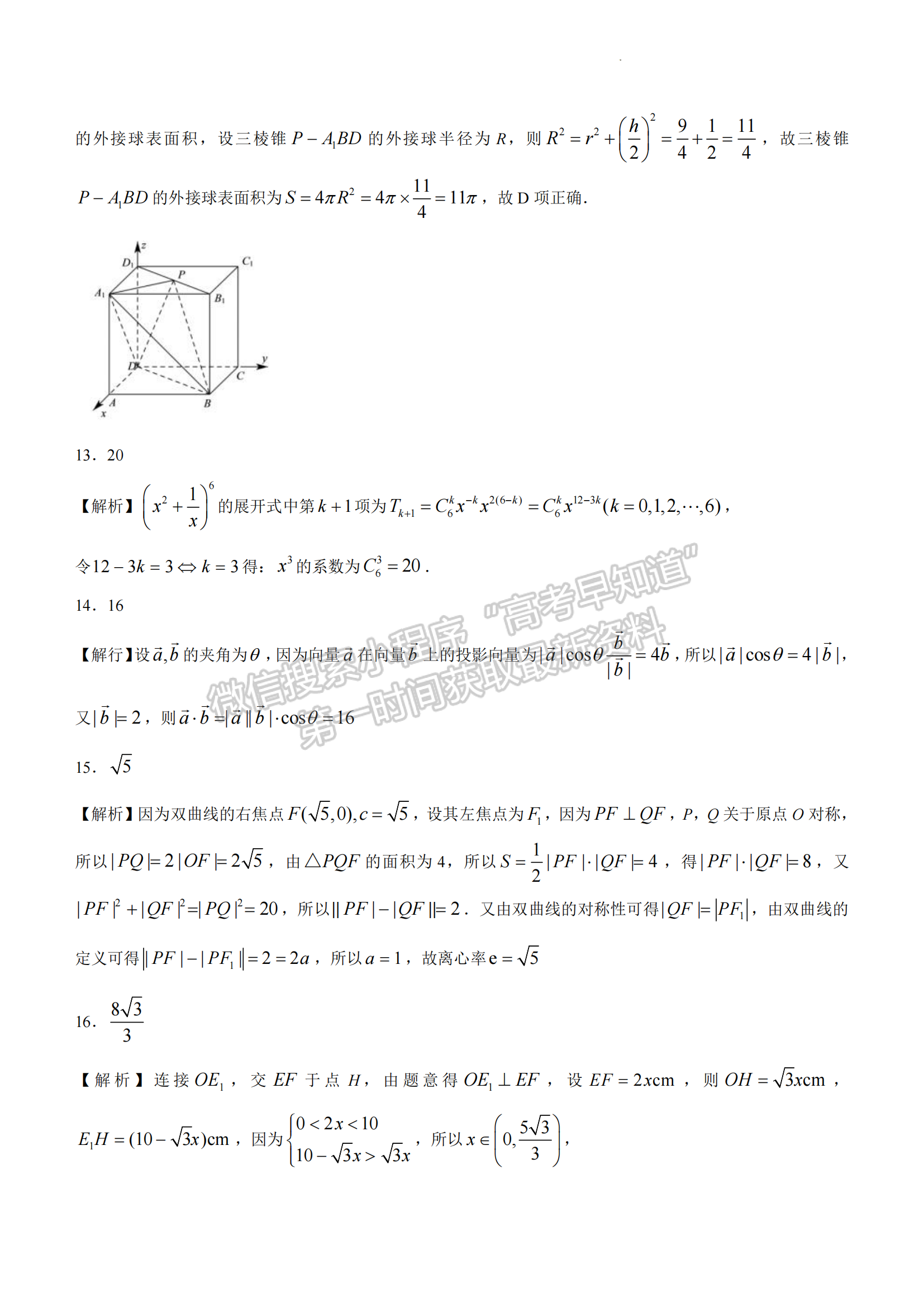 2023年湖北省高三上學(xué)期1月期末考（新高考協(xié)作體）數(shù)學(xué)試卷及參考答案