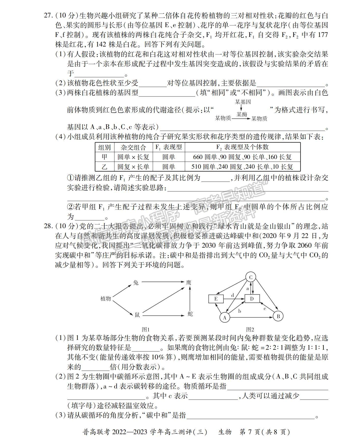 2023河南省洛陽市普通高中聯(lián)考高三上學期測評（三）生物試題及參考答案