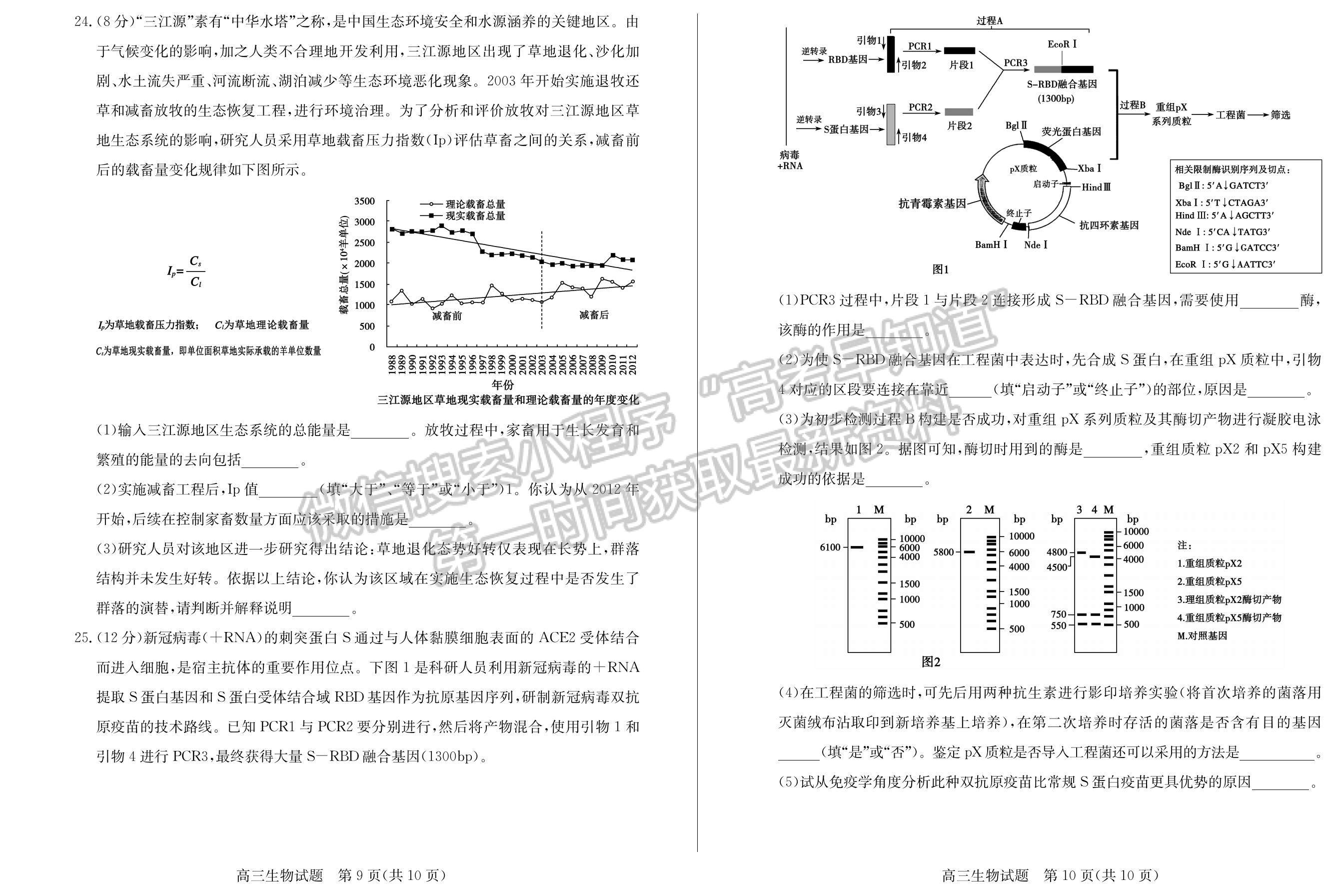 2023年山東棗莊高三一調(diào)-生物試卷及答案