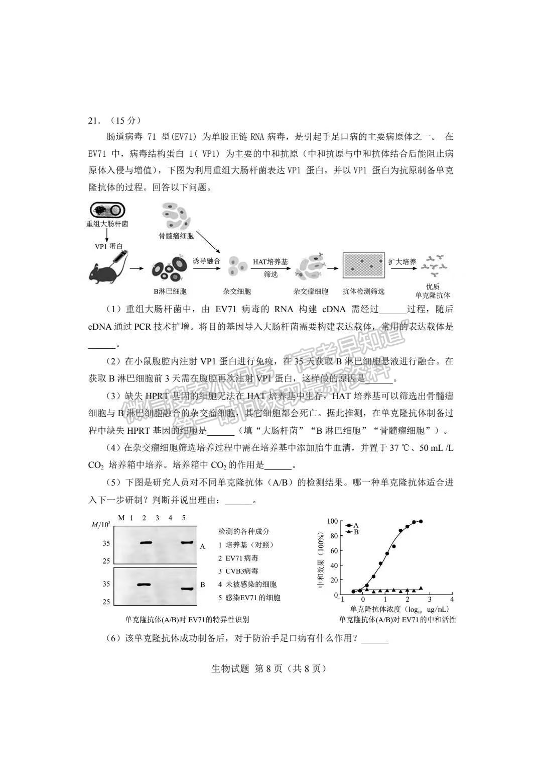 2023長沙一模暨新高考適應性考試生物試卷及答案