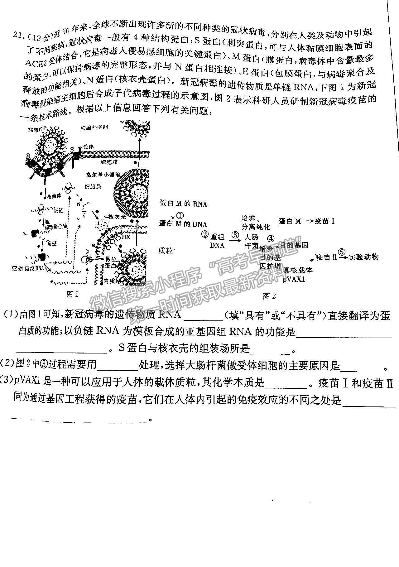 2023湖南郴州一模生物試卷及答案