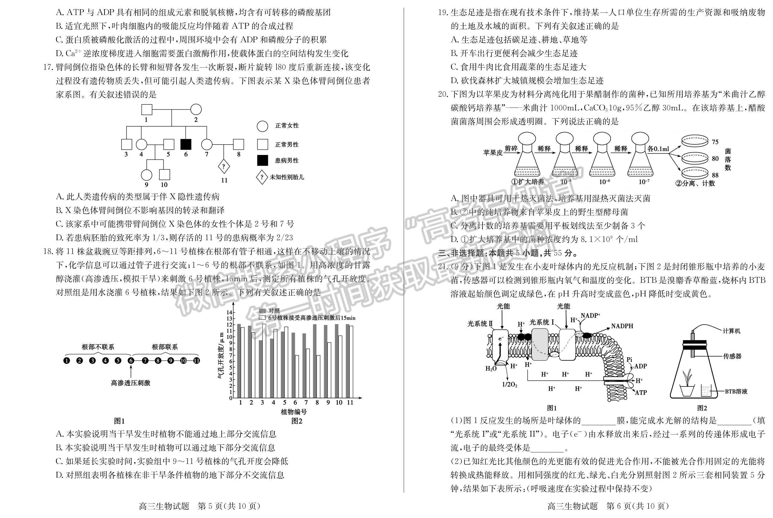 2023年山東棗莊高三一調(diào)-生物試卷及答案