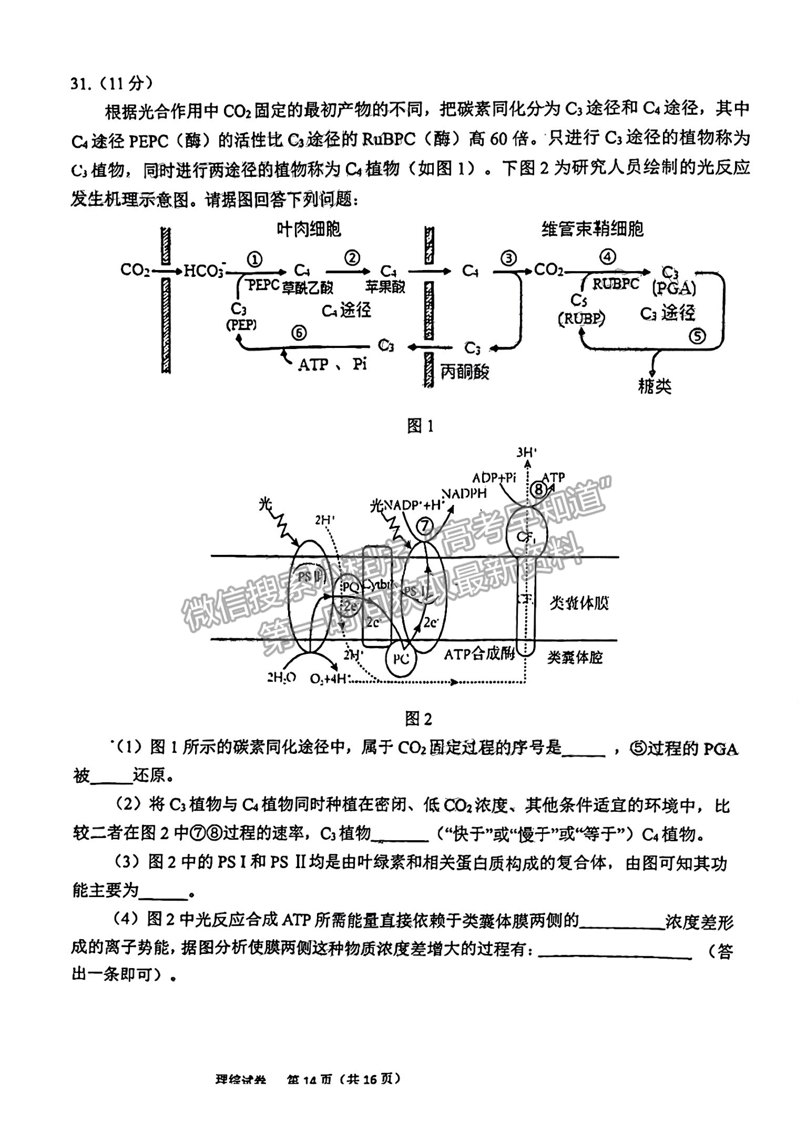 2023安徽六安市省示范高中高三質(zhì)量監(jiān)測理綜試卷及答案