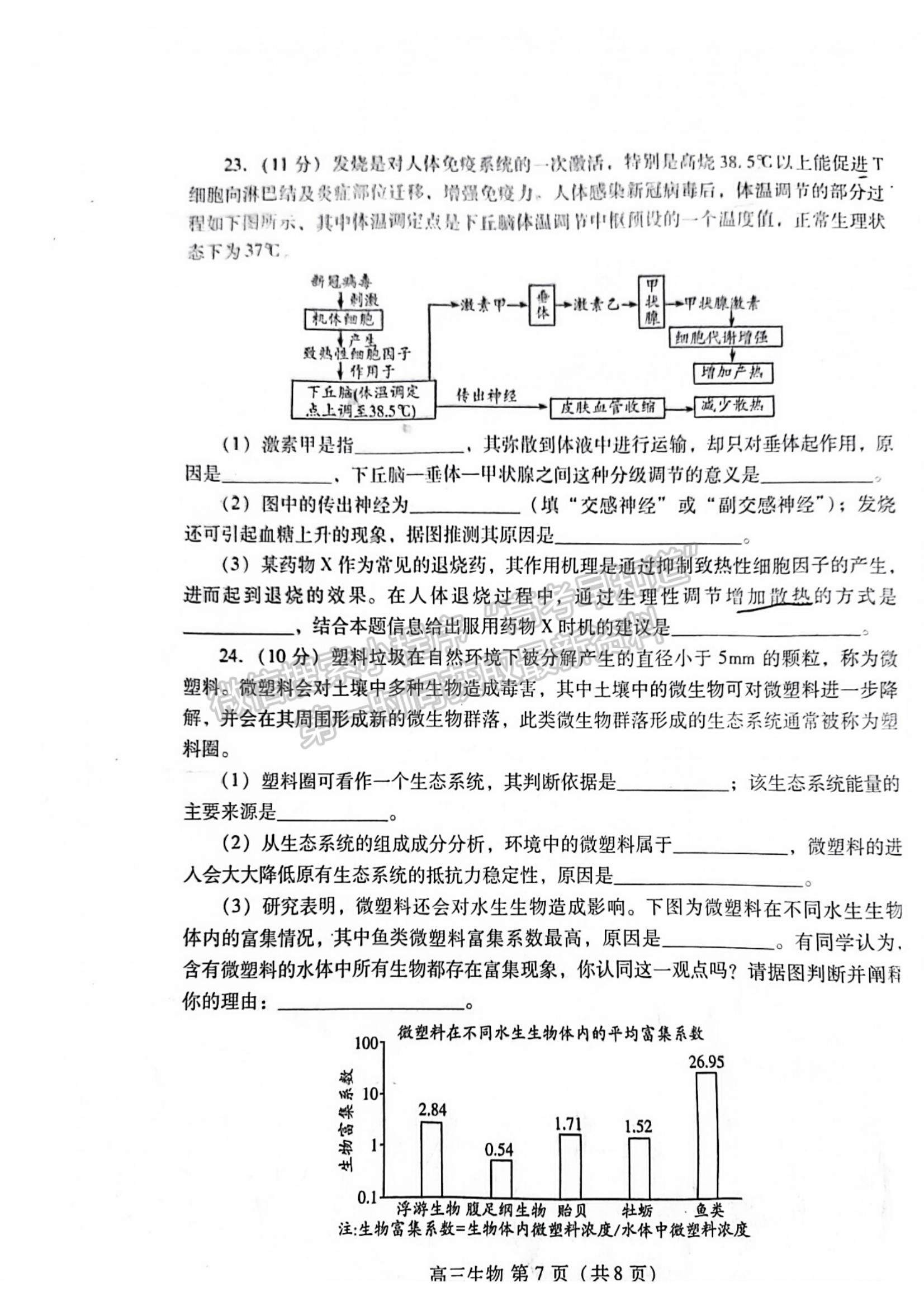 2023年山東省濰坊市高三上學(xué)期期末考試-生物試卷及答案