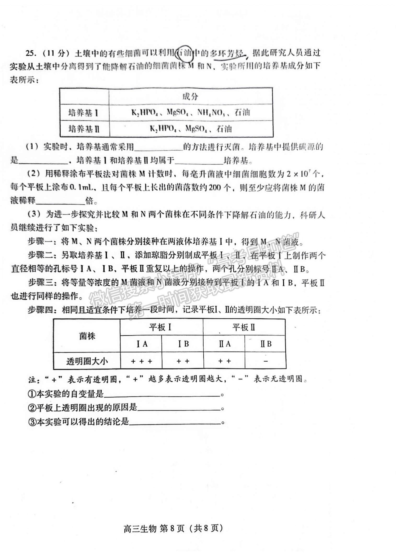 2023年山東省濰坊市高三上學(xué)期期末考試-生物試卷及答案