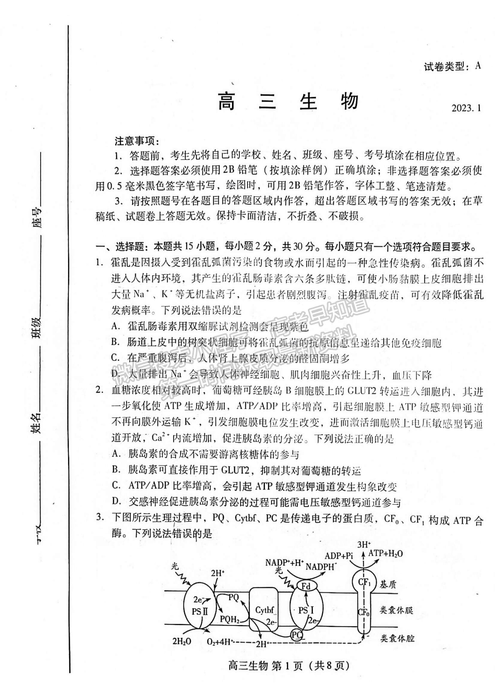 2023年山東省濰坊市高三上學(xué)期期末考試-生物試卷及答案