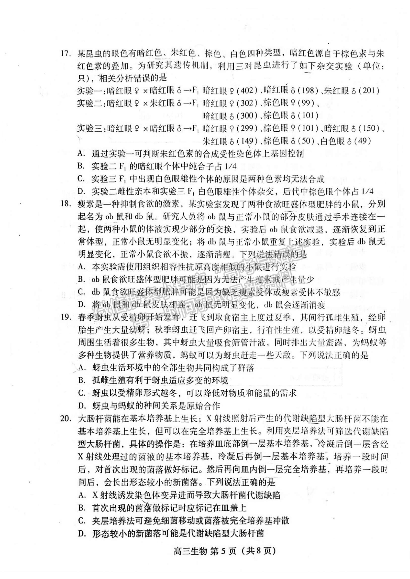 2023年山東省濰坊市高三上學(xué)期期末考試-生物試卷及答案