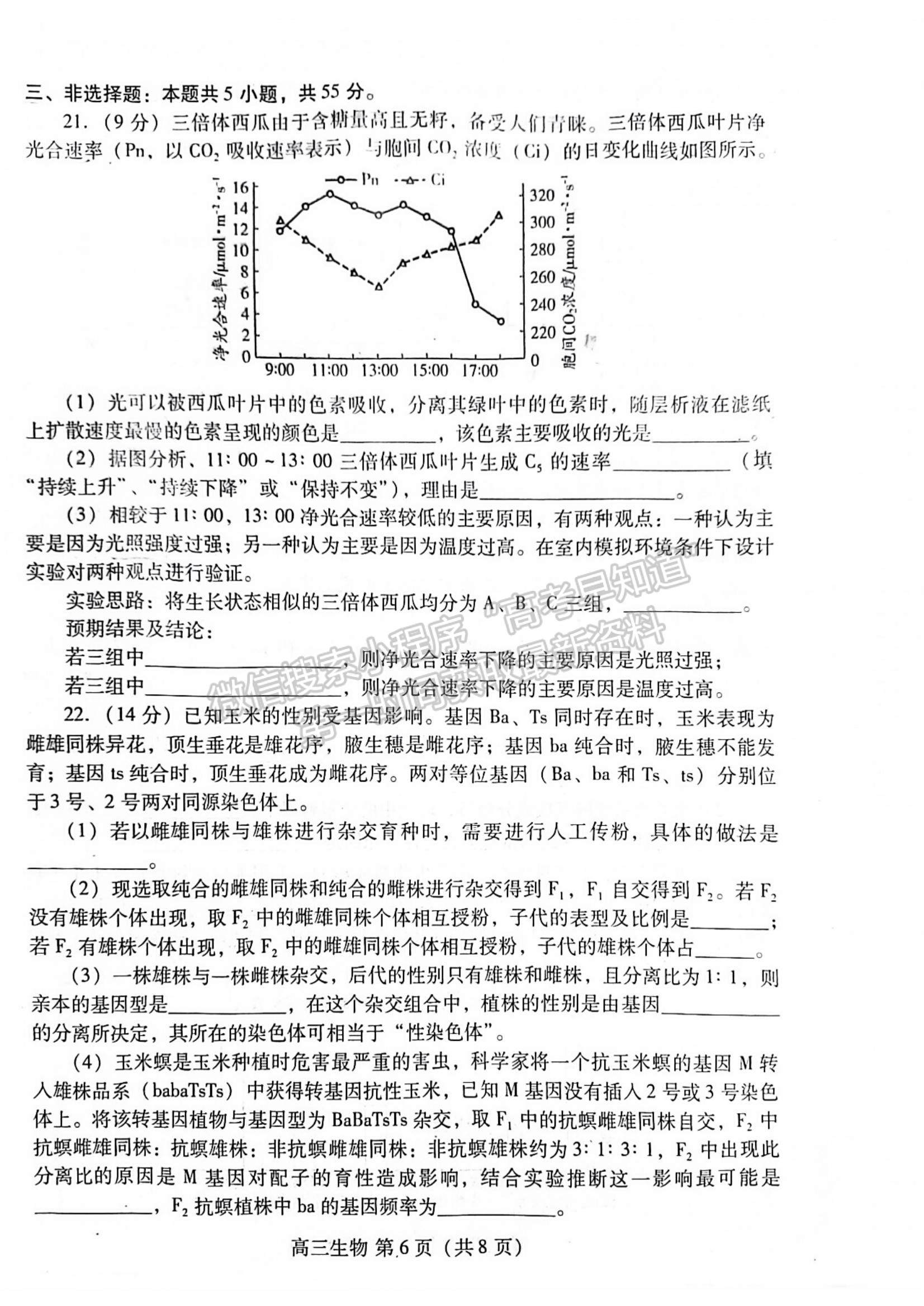 2023年山東省濰坊市高三上學(xué)期期末考試-生物試卷及答案