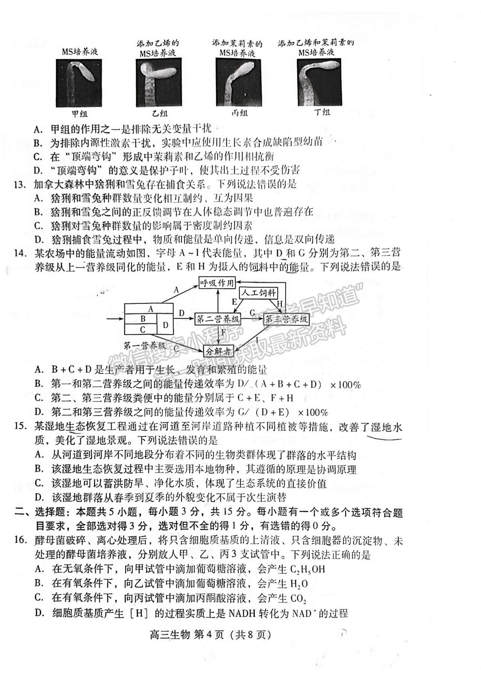 2023年山東省濰坊市高三上學(xué)期期末考試-生物試卷及答案