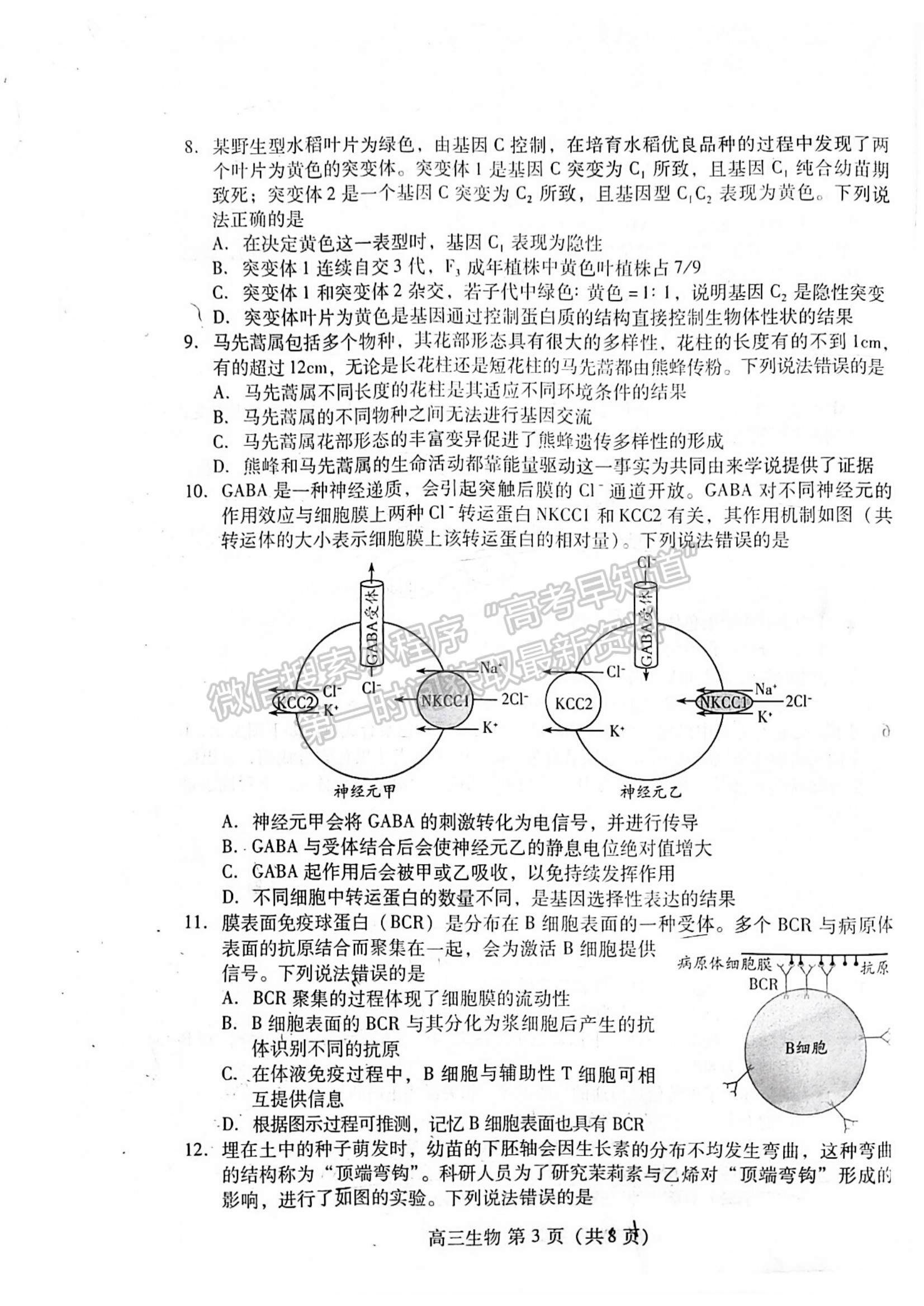 2023年山東省濰坊市高三上學(xué)期期末考試-生物試卷及答案