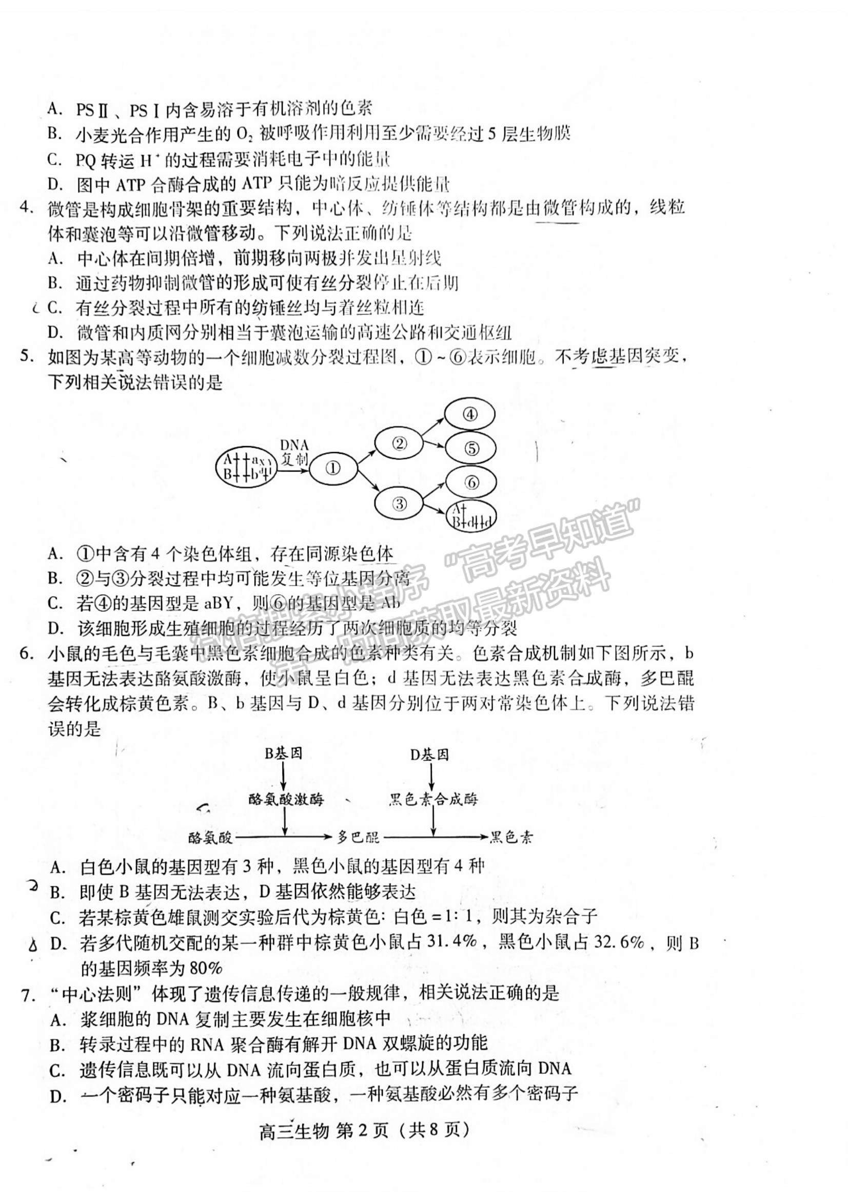 2023年山東省濰坊市高三上學(xué)期期末考試-生物試卷及答案