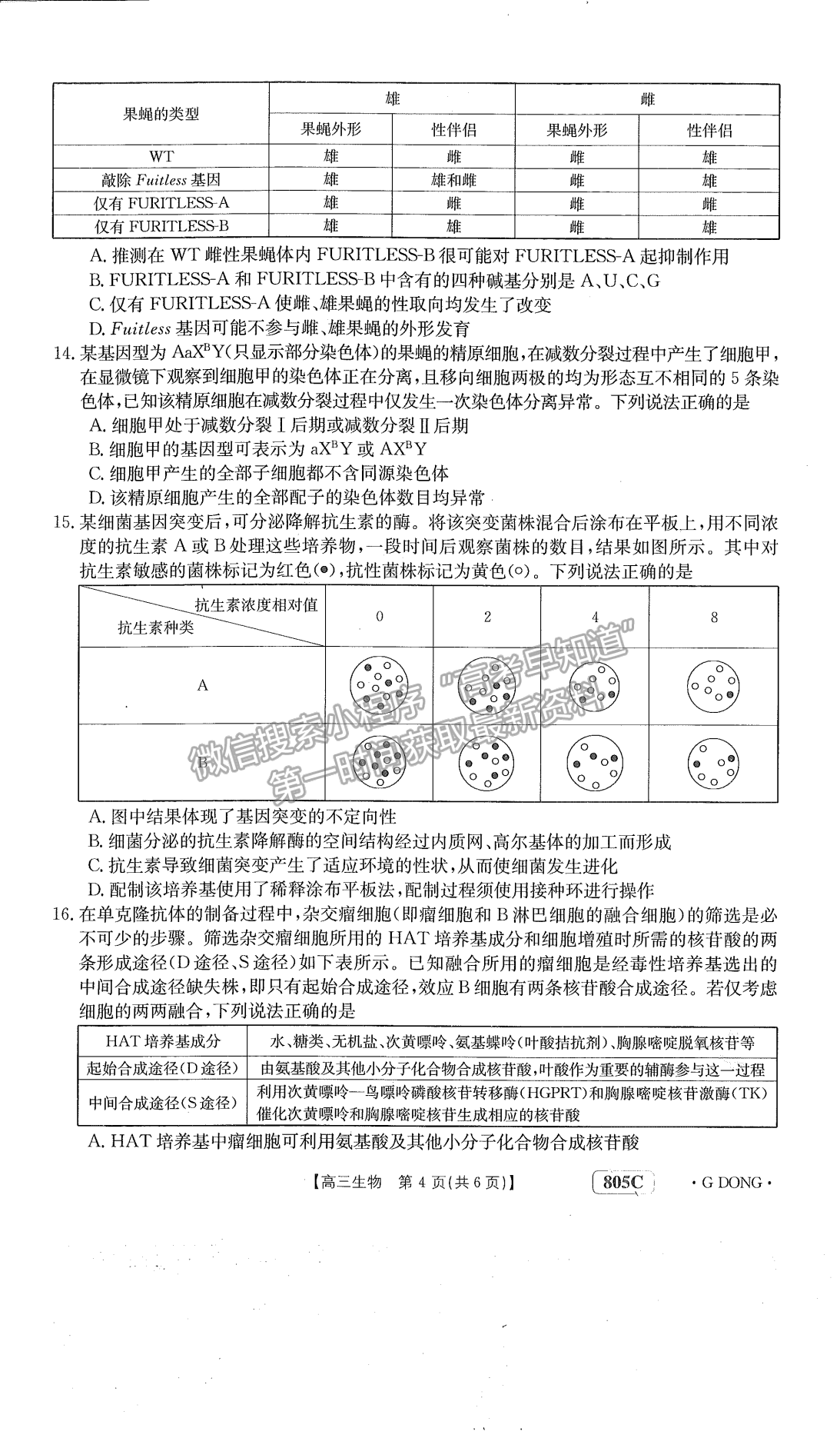 廣東省2023屆高三1月聯(lián)考805C生物試卷及答案