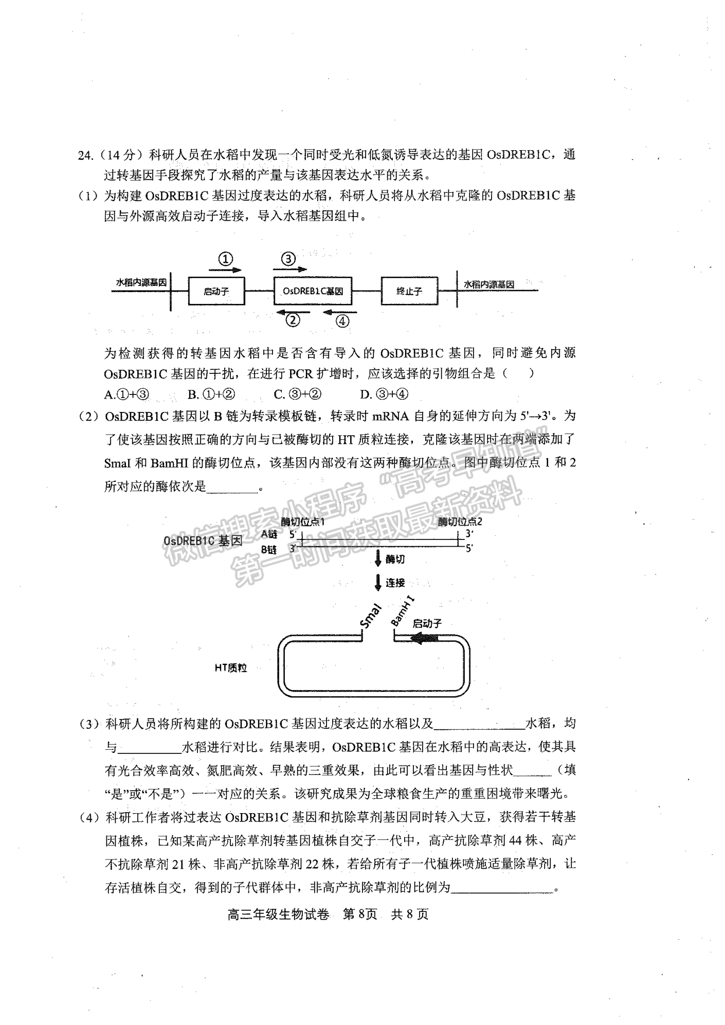 2023年武昌區(qū)高三年級(jí)1月質(zhì)量檢測(cè)生物試卷及參考答案