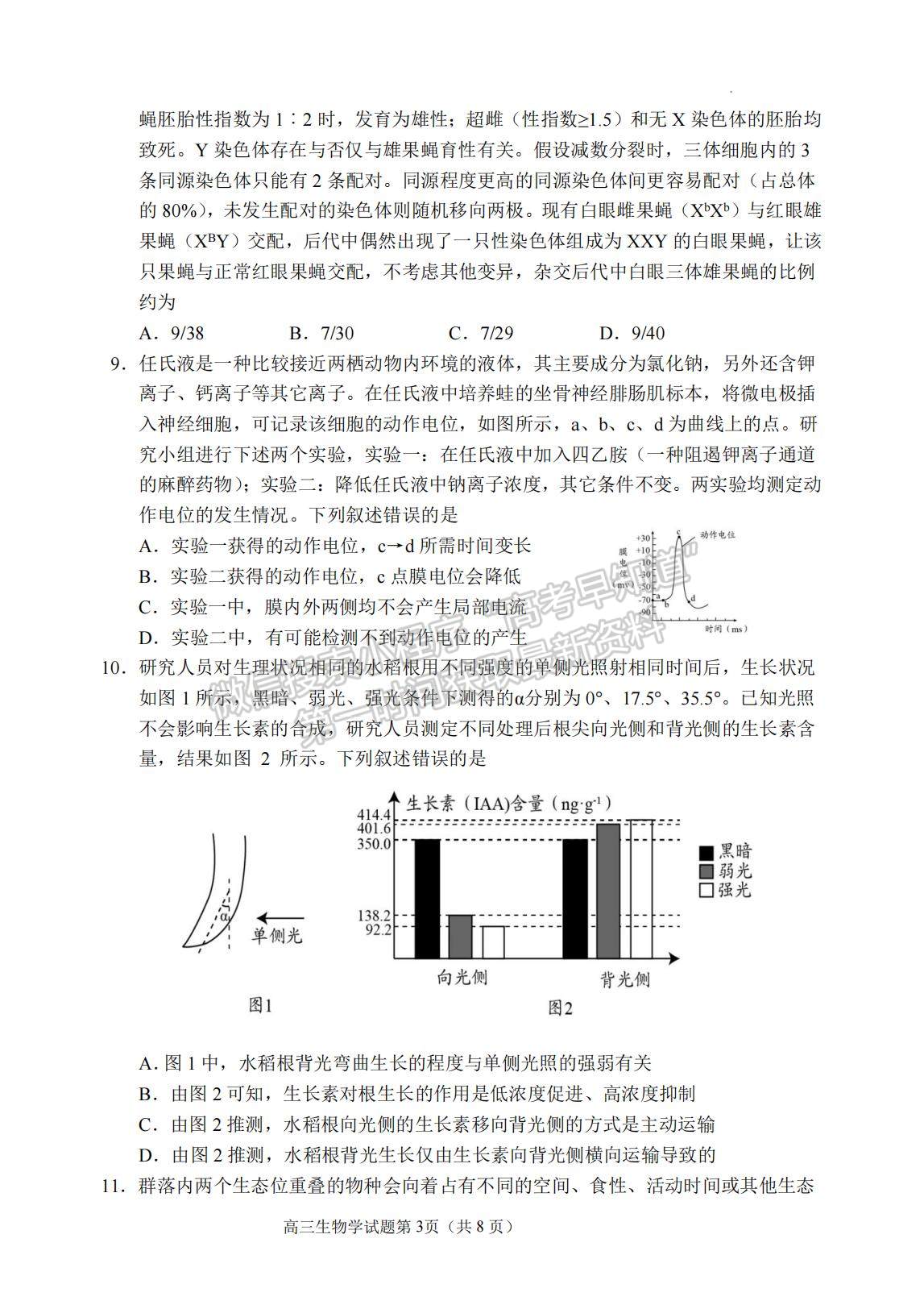 2023年山東省日照市高三上學期期末考試-生物試卷及答案