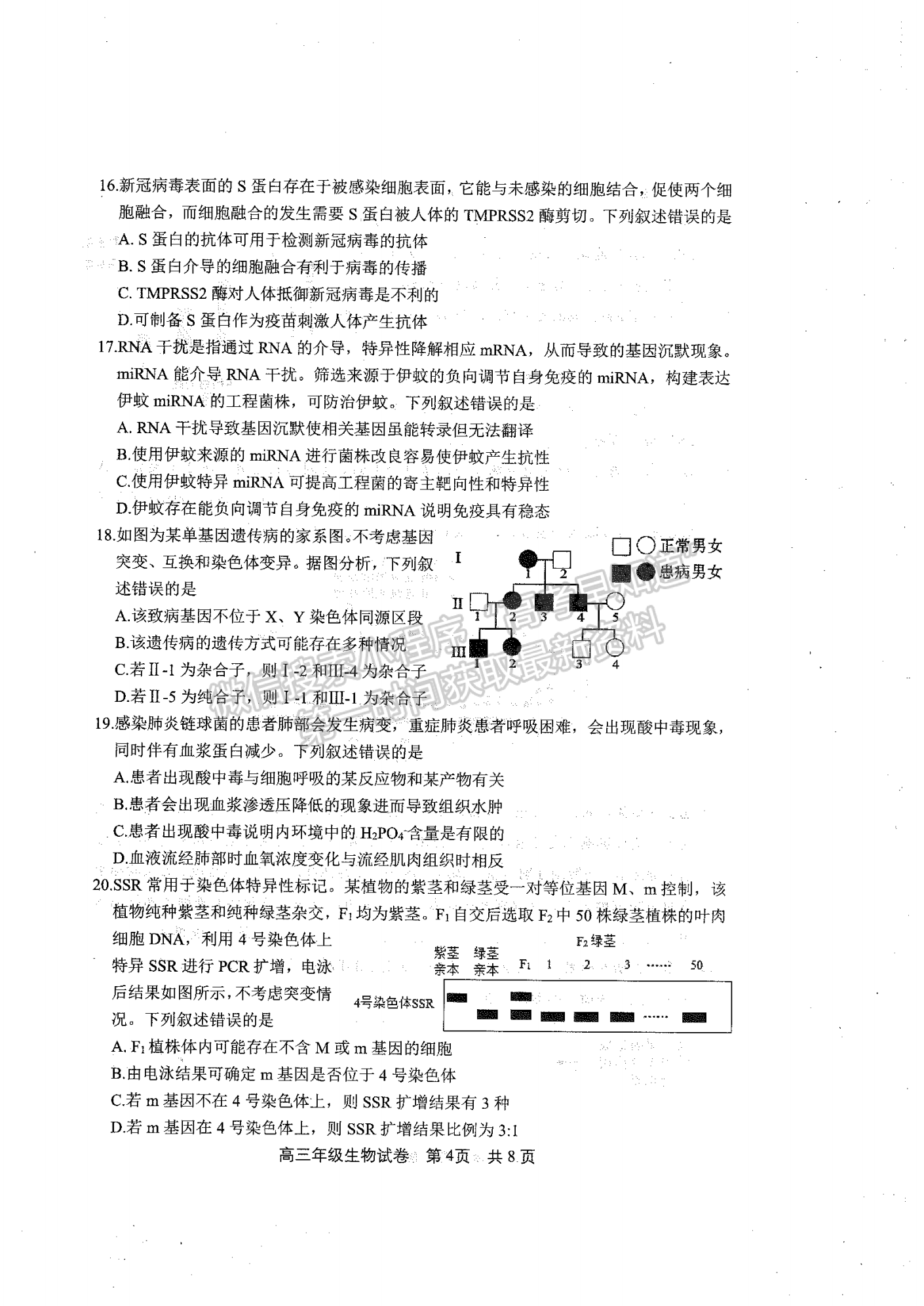 2023年武昌區(qū)高三年級1月質(zhì)量檢測生物試卷及參考答案