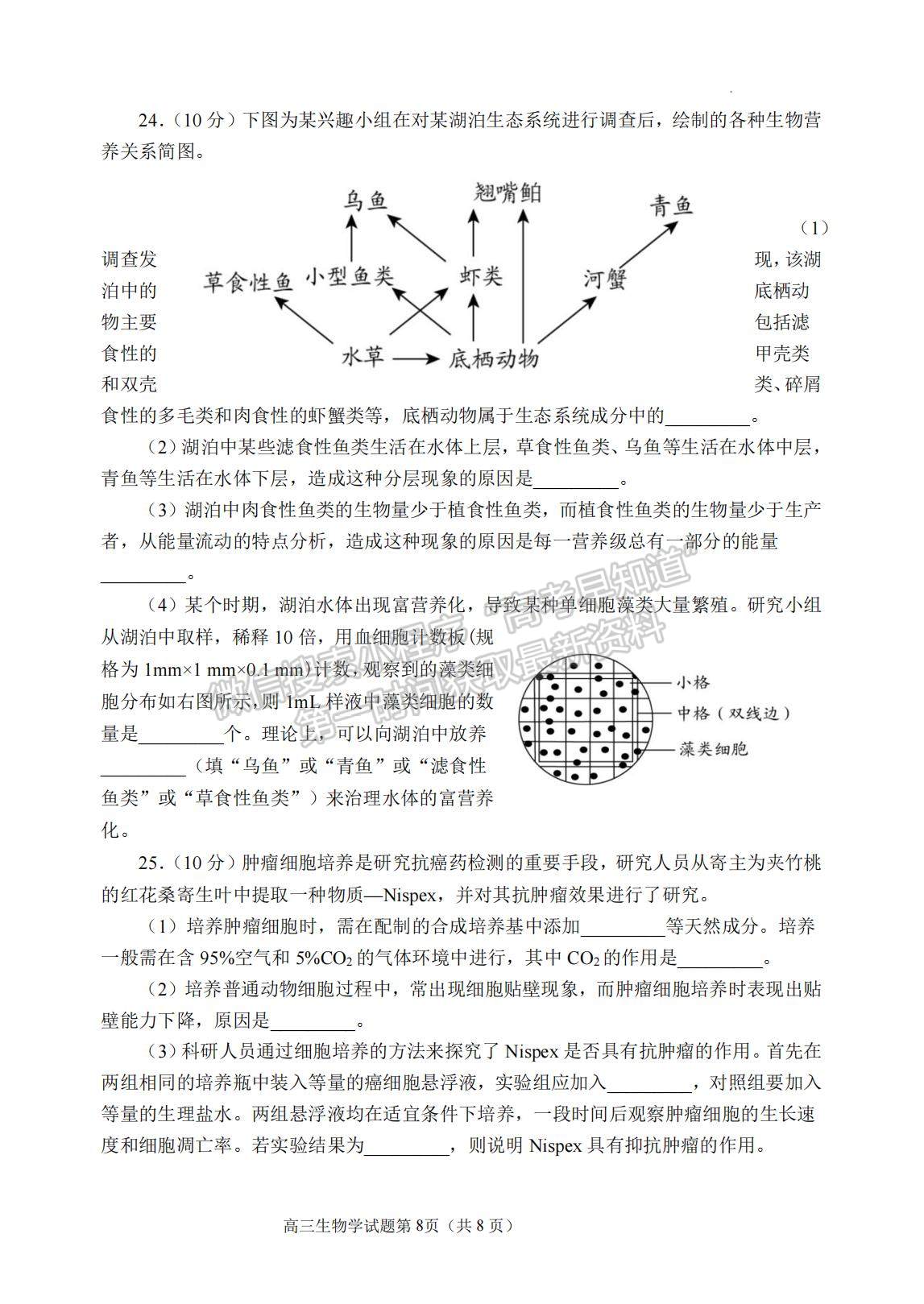 2023年山東省日照市高三上學(xué)期期末考試-生物試卷及答案