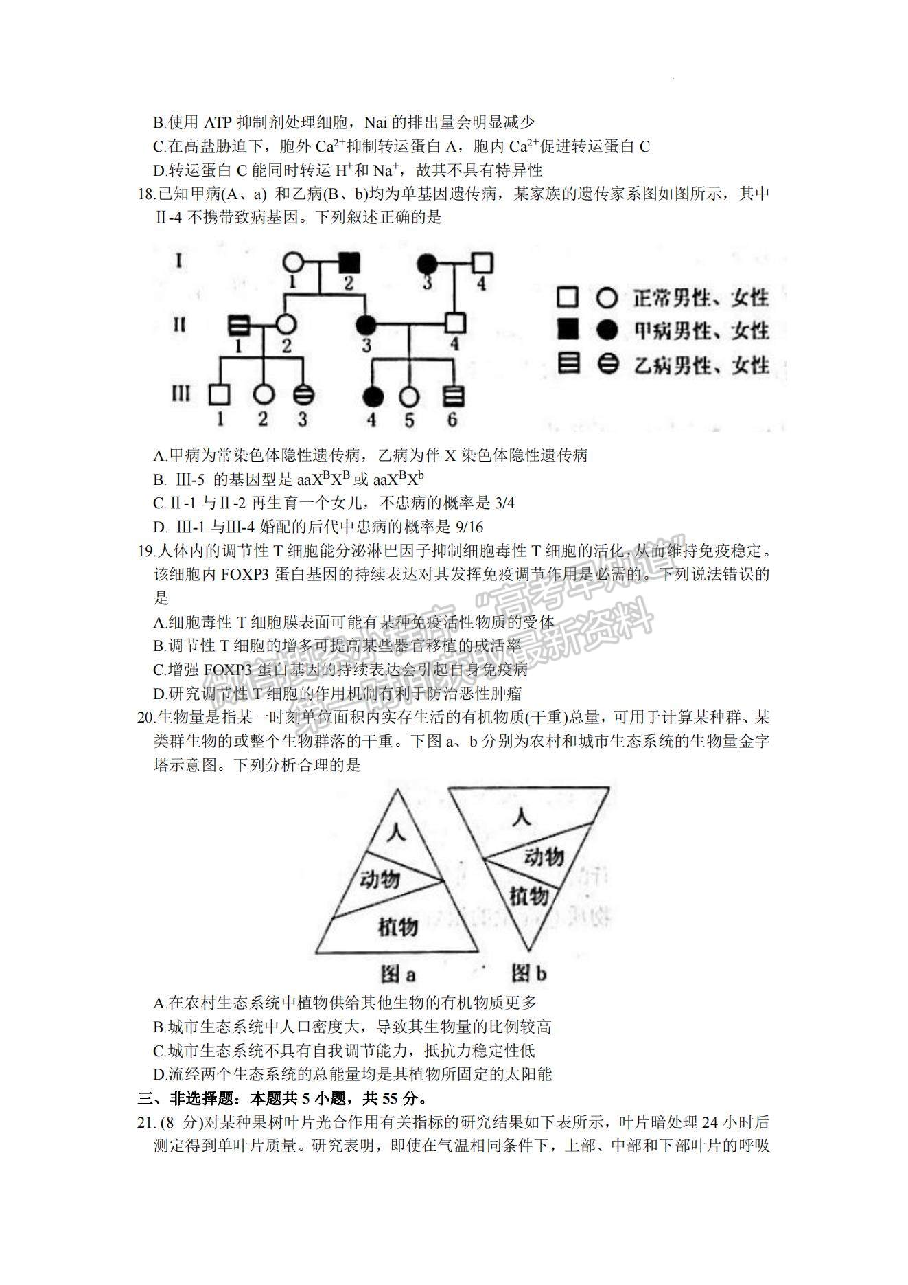 2023年山東省煙臺(tái)市高三上學(xué)期期末考-生物試卷及答案