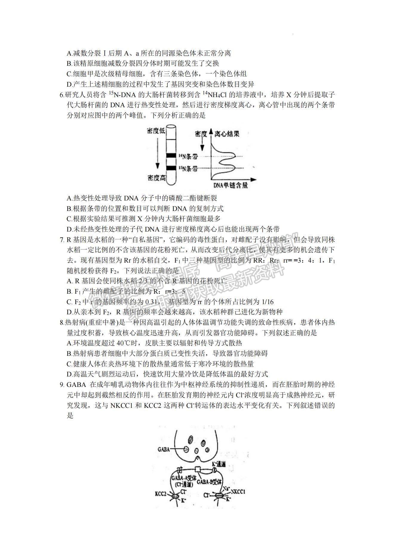 2023年山東省煙臺市高三上學(xué)期期末考-生物試卷及答案