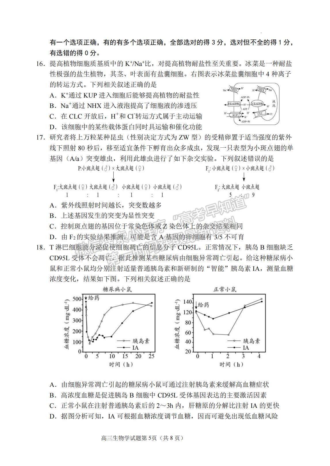 2023年山東省日照市高三上學(xué)期期末考試-生物試卷及答案