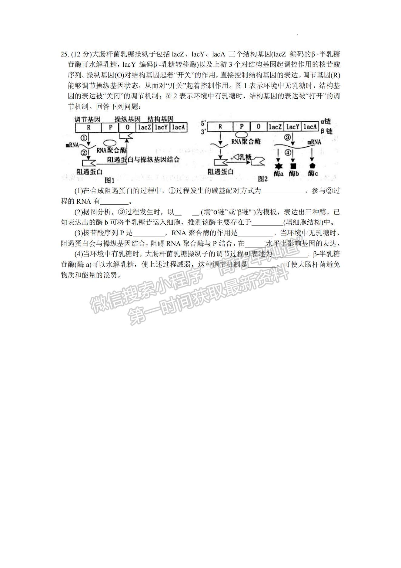 2023年山東省煙臺(tái)市高三上學(xué)期期末考-生物試卷及答案