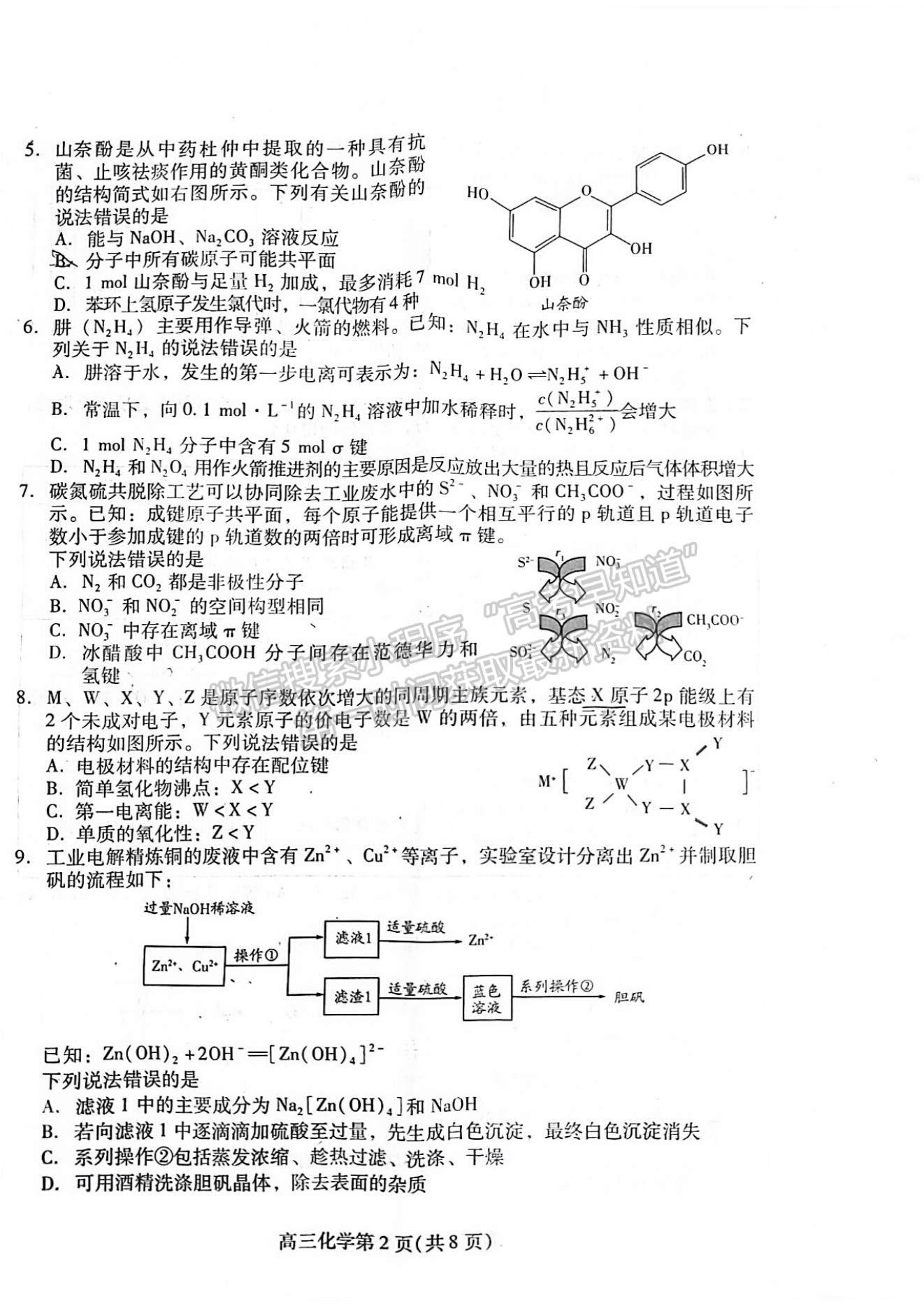 2023年山東省濰坊市高三上學期期末考試-化學試卷及答案