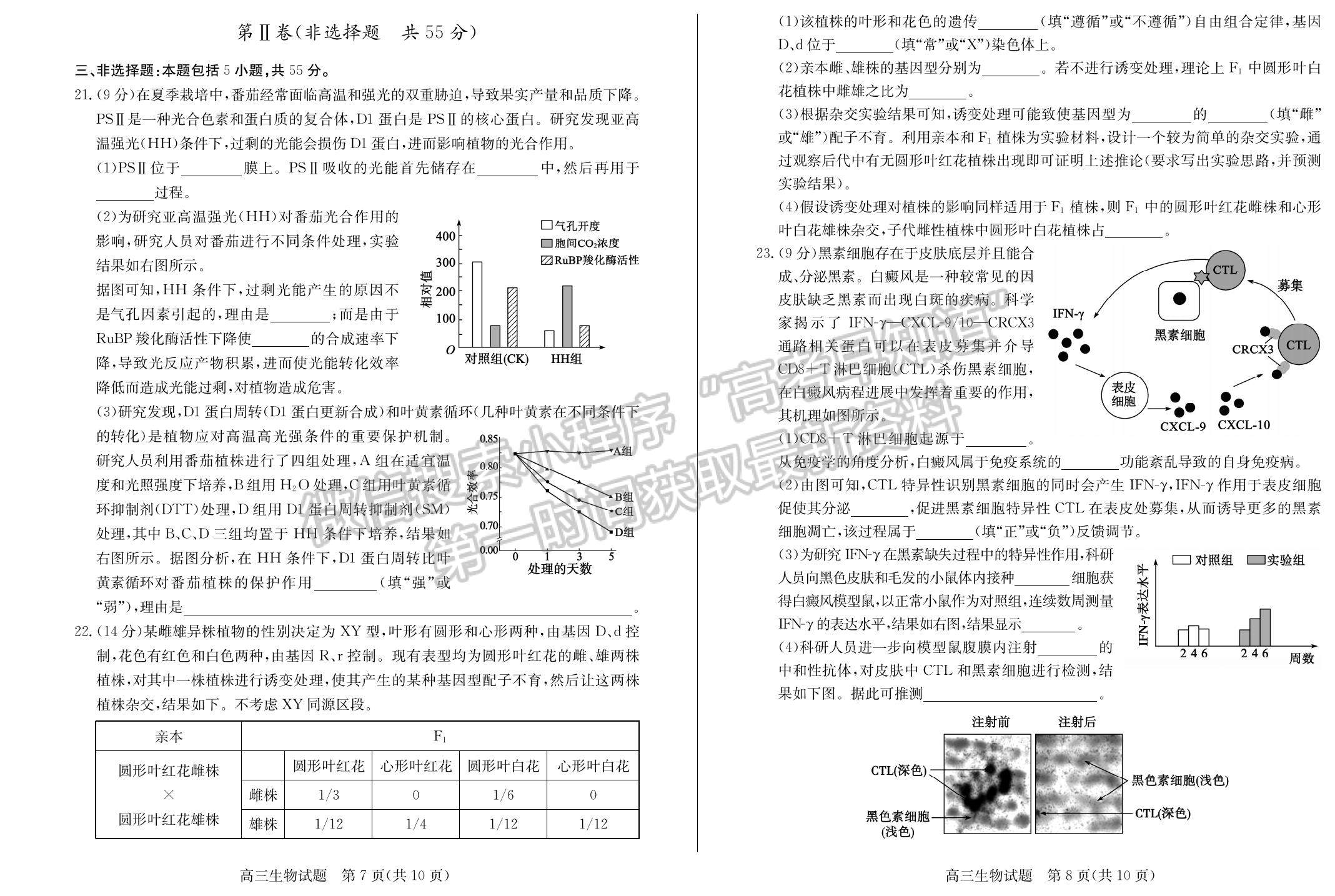 2023年山東省德州高三上學期期末自評自測卷-生物試題及答案