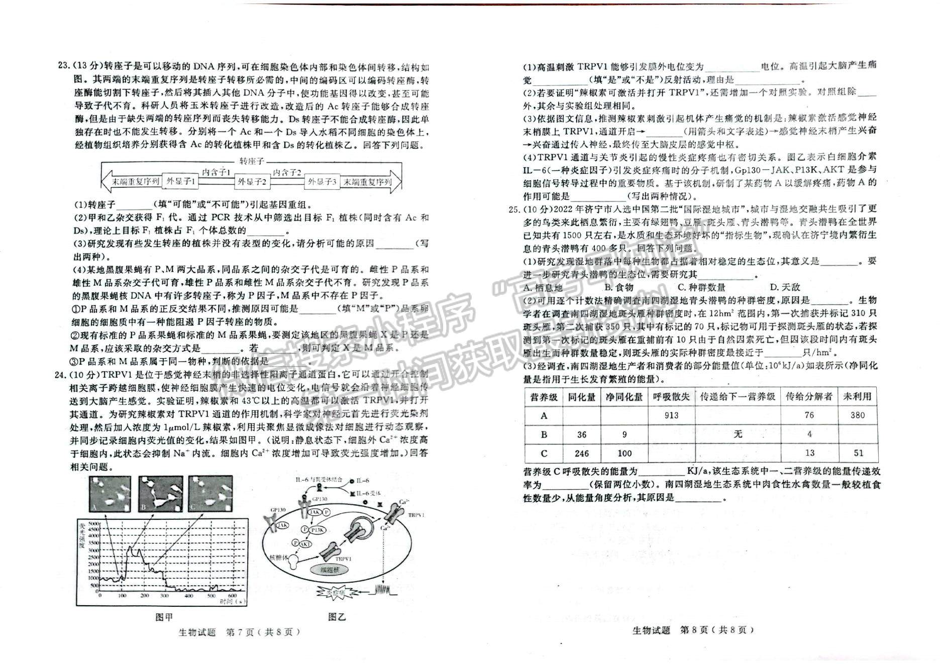 2023年山東濟(jì)寧高三第一學(xué)期期末質(zhì)量檢測(cè)-生物試卷及答案