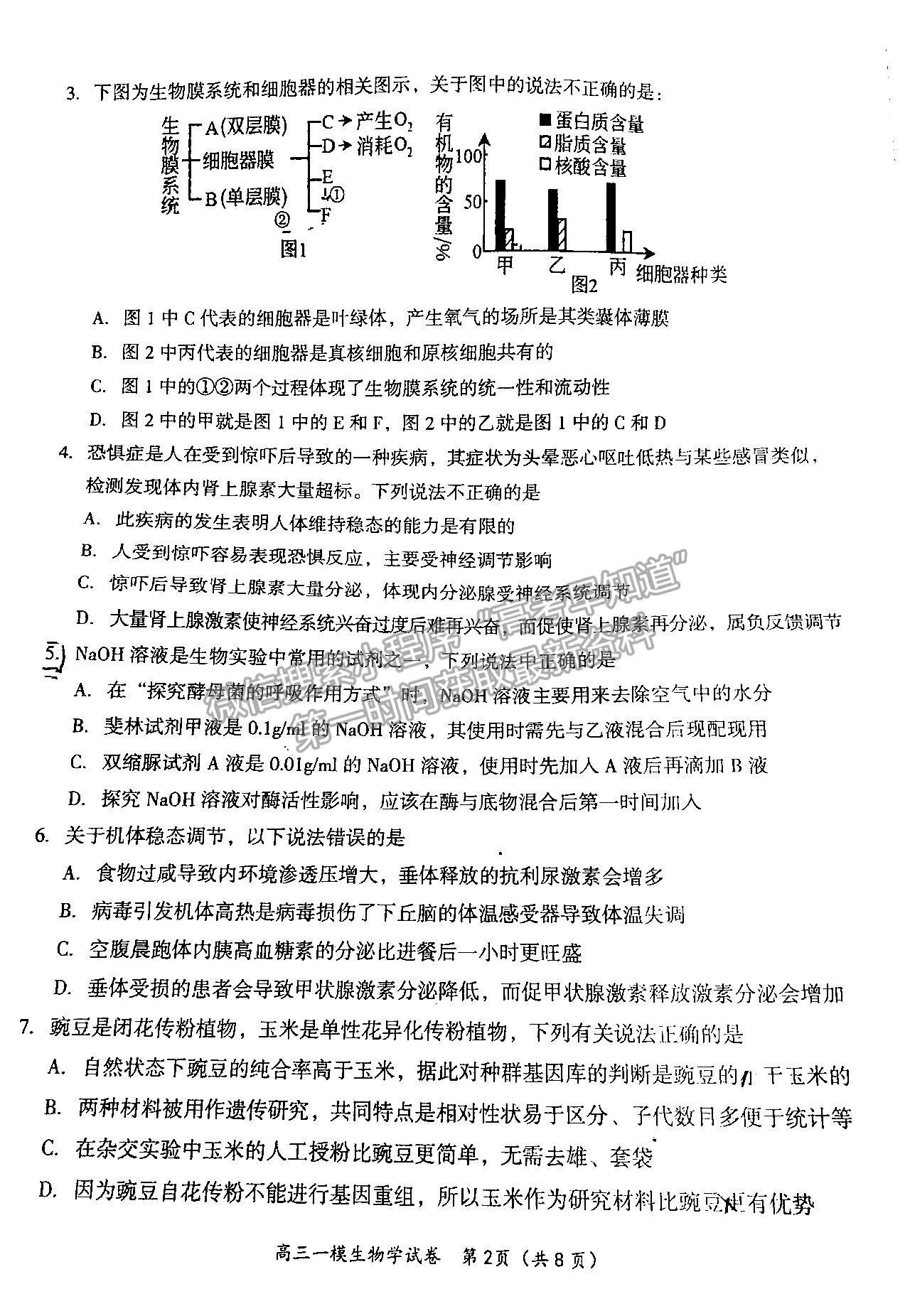 2023湖南岳陽(yáng)一模生物試卷