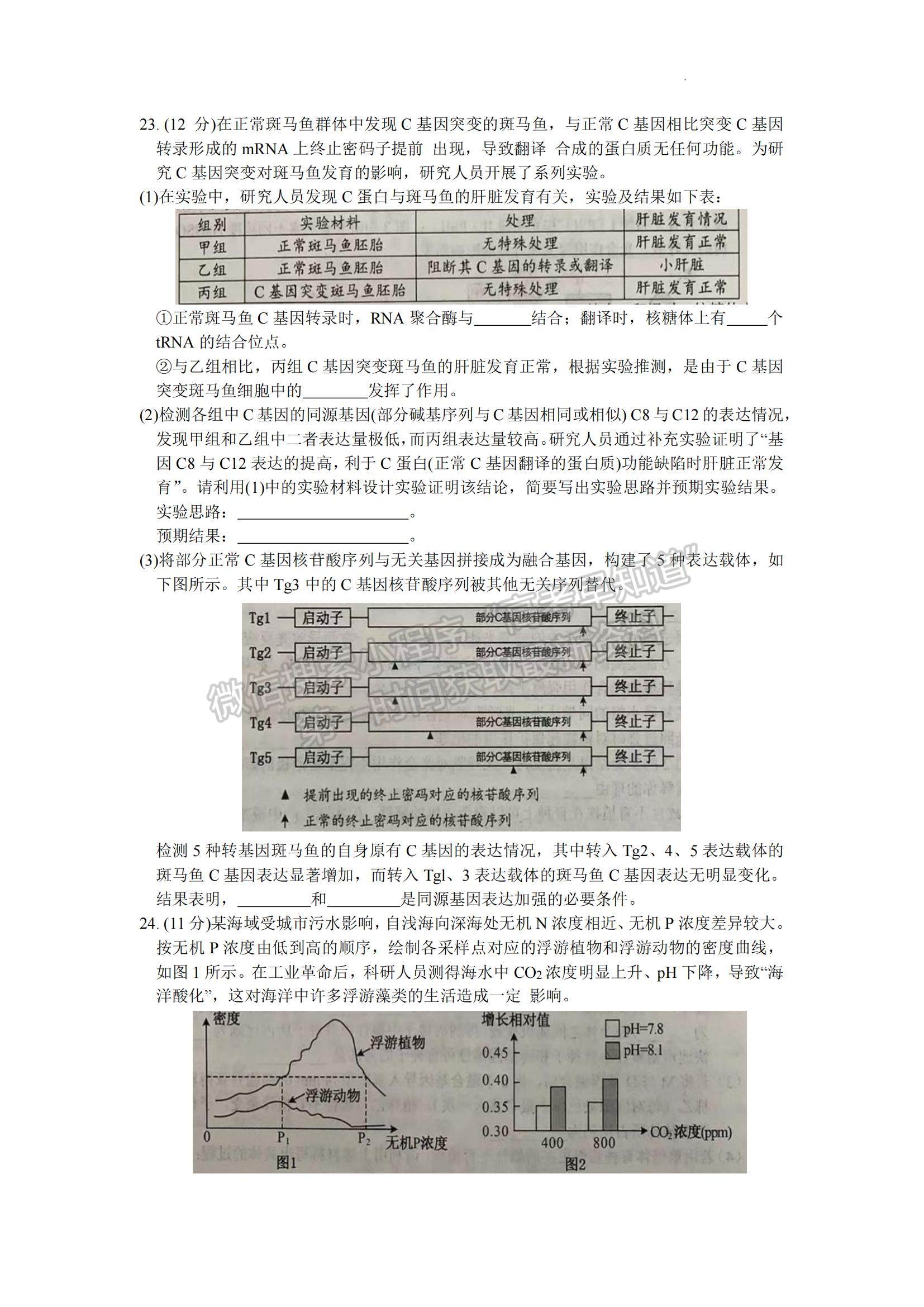 2023年山東菏澤高三上學(xué)期期末考-生物試卷及答案