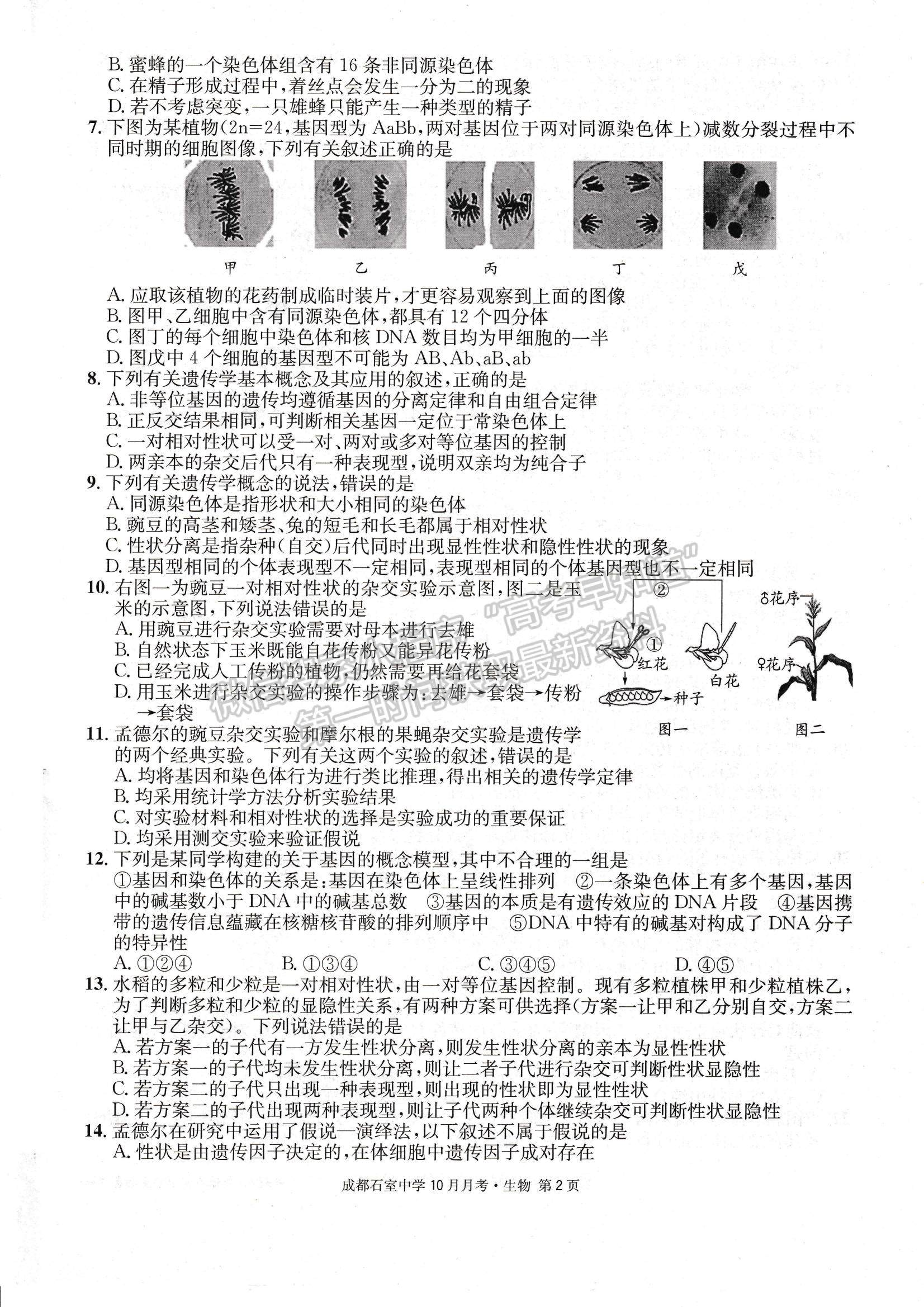 2023四川省成都石室中學(xué)高三上學(xué)期10月月考生物試題及參考答案