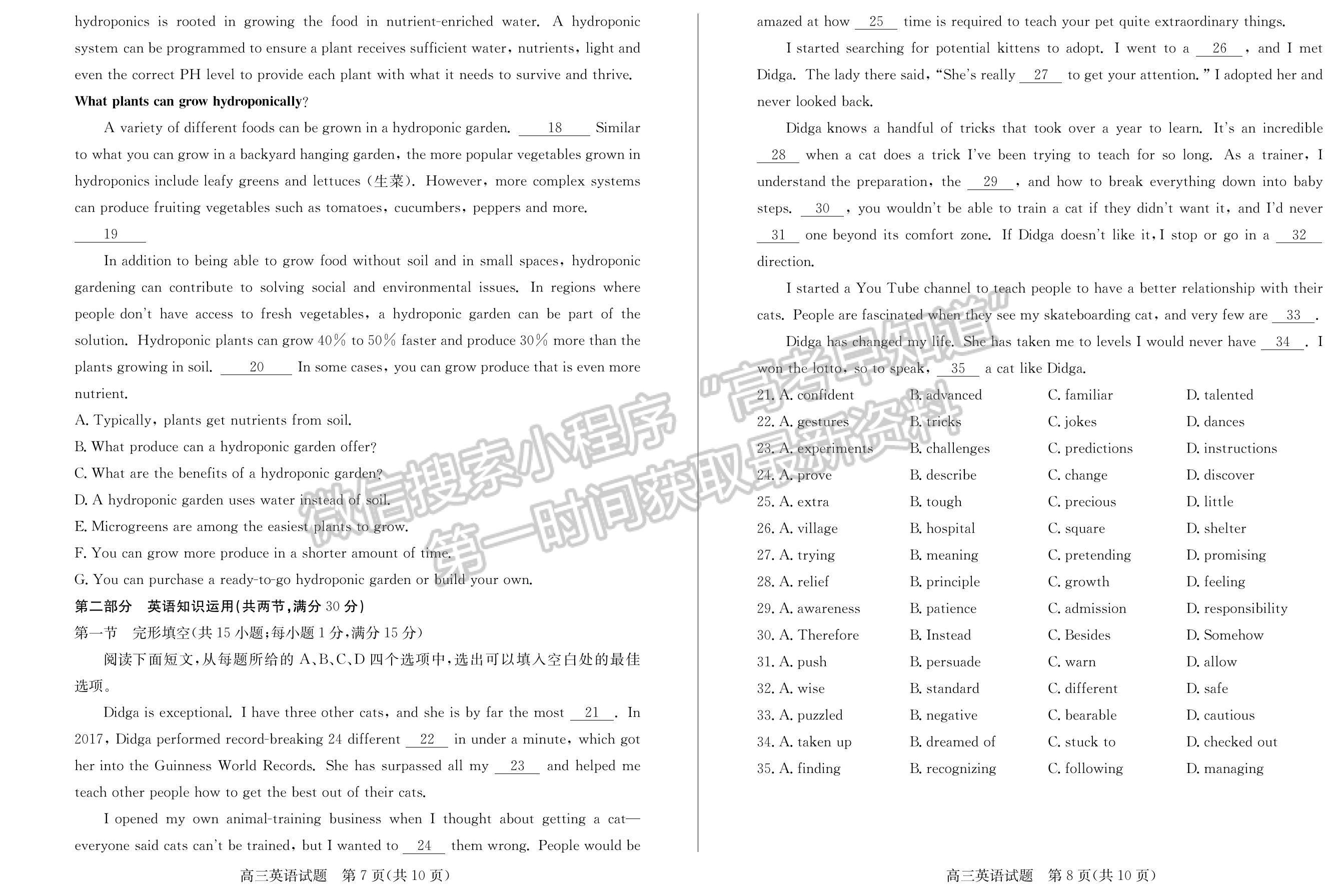 2023年山東省德州高三上學(xué)期期末自評(píng)自測(cè)卷-英語試題及答案