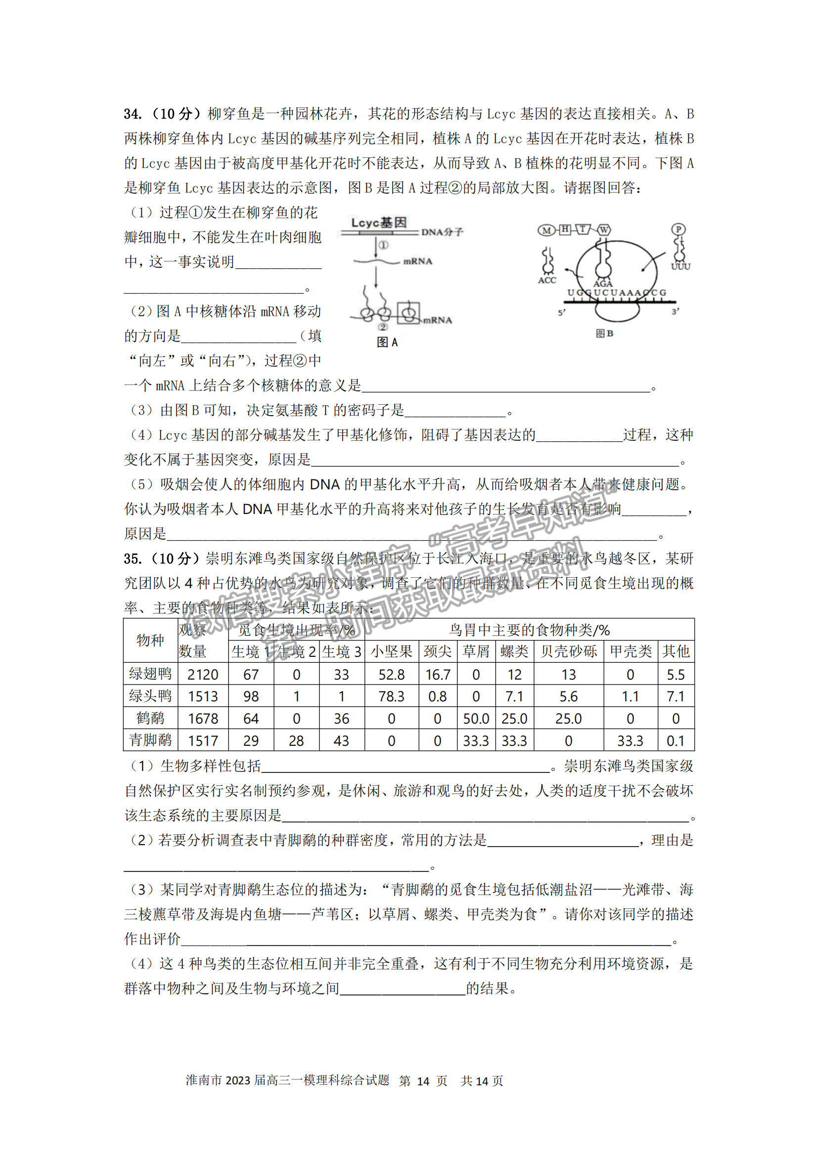 2023安徽淮南一模理綜試卷及答案