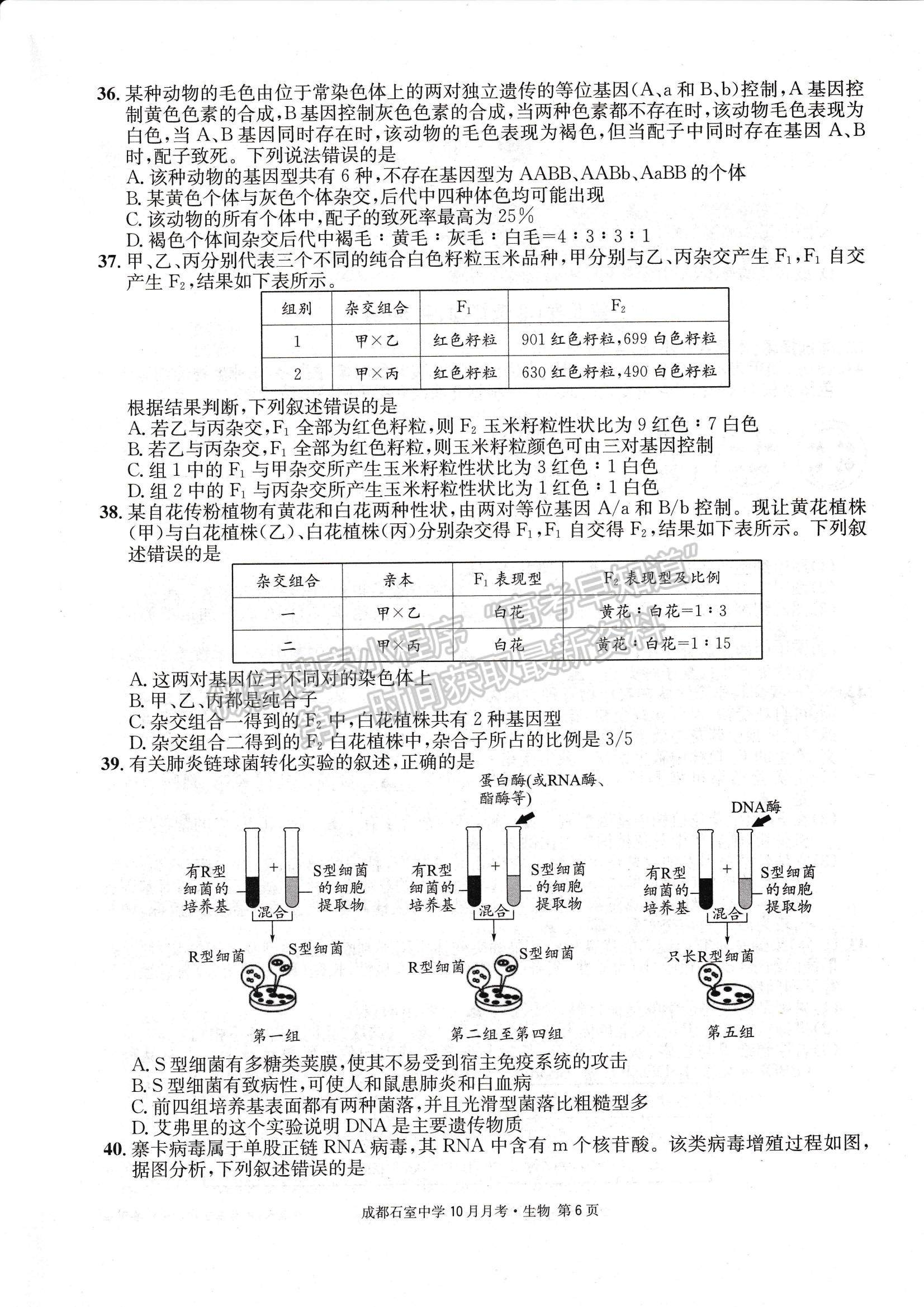 2023四川省成都石室中學(xué)高三上學(xué)期10月月考生物試題及參考答案