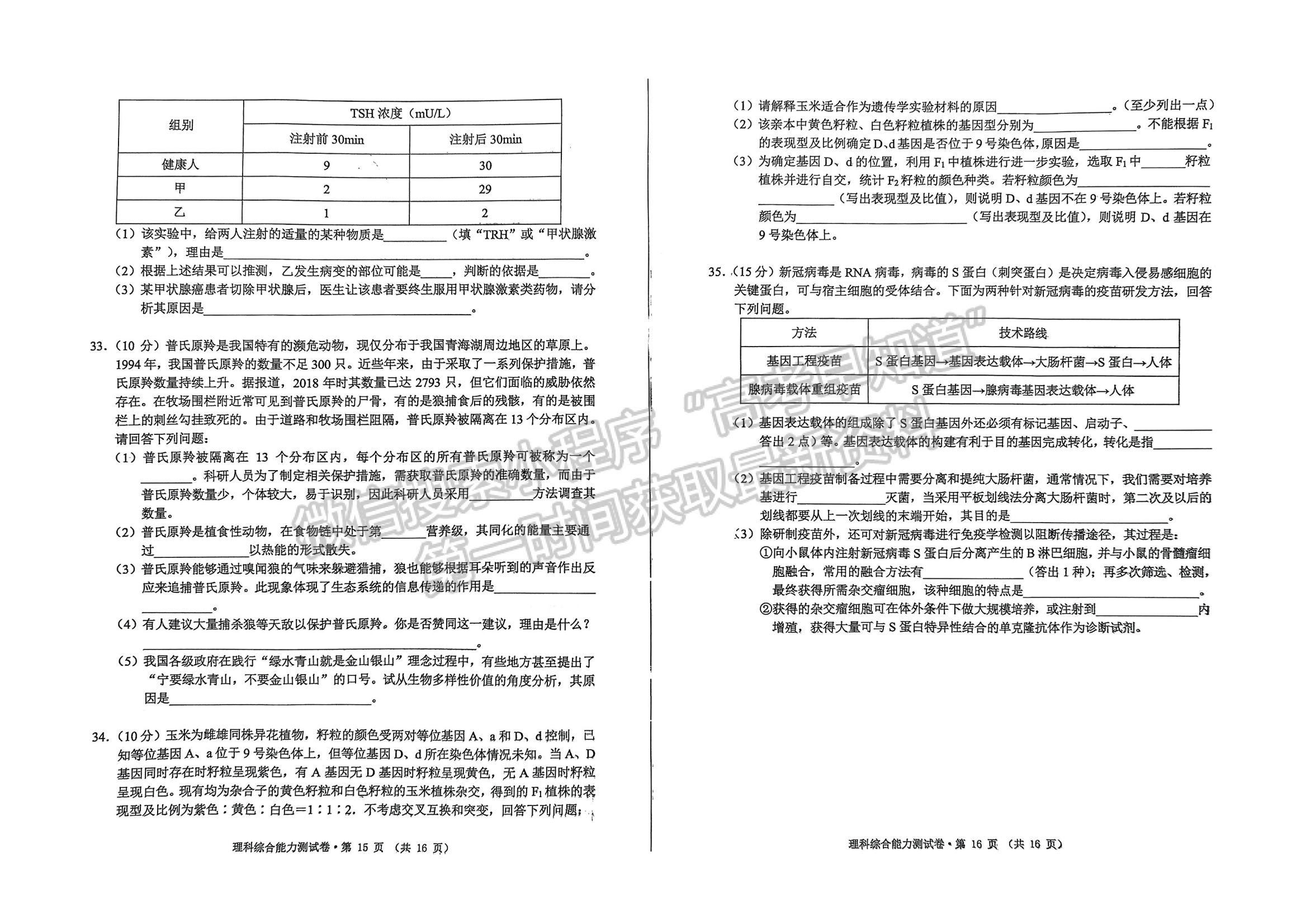 2023安徽黃山一模理綜試卷及答案