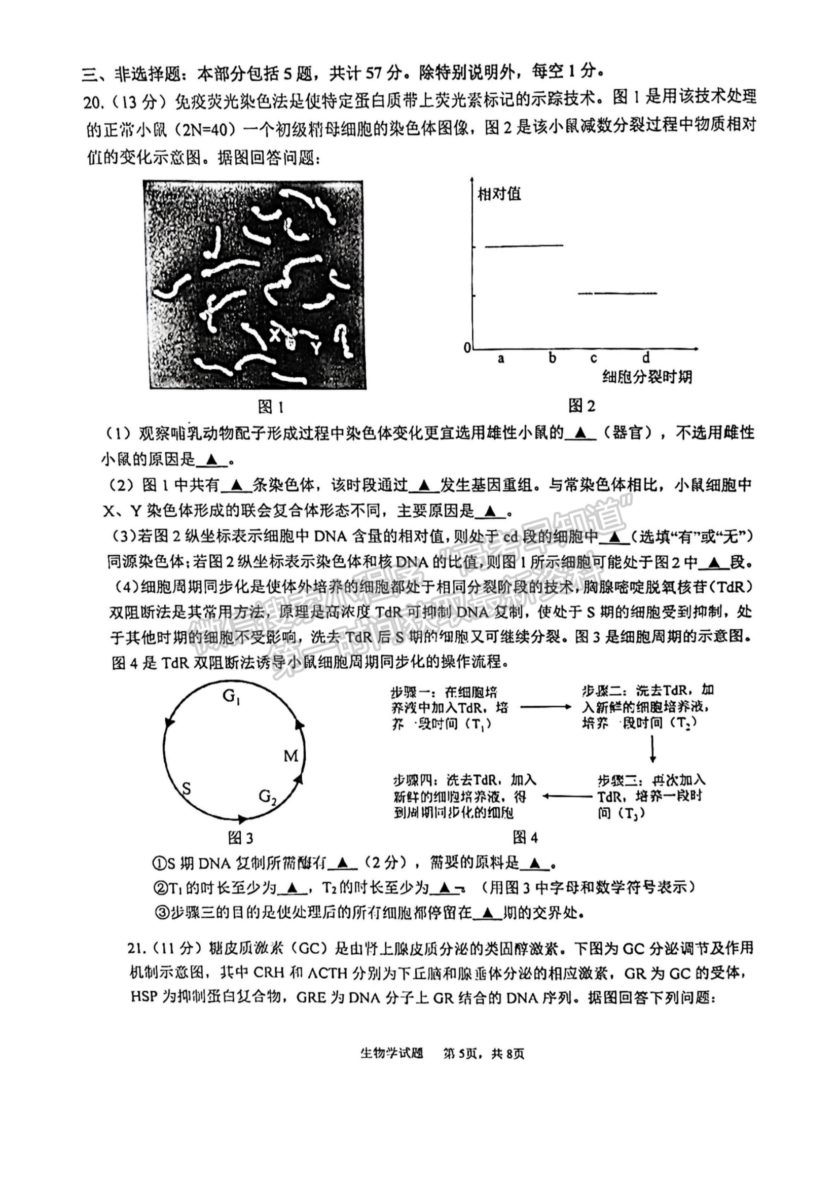 2023屆江蘇省蘇北四市高三上學(xué)期期末（一模）生物試題及參考答案