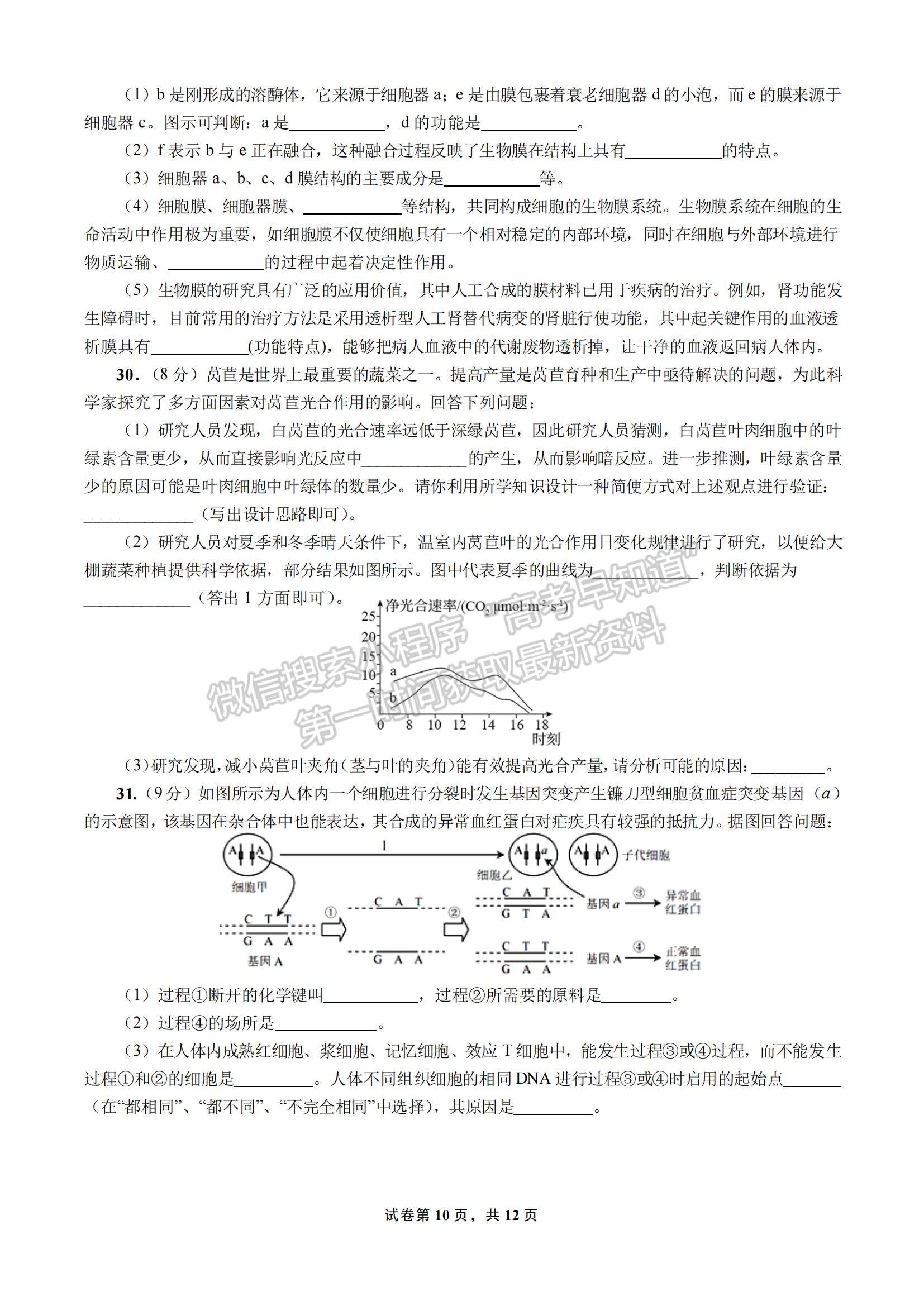 2023四川省成都七中高三上學(xué)期10月階段考試理綜試題及參考答案