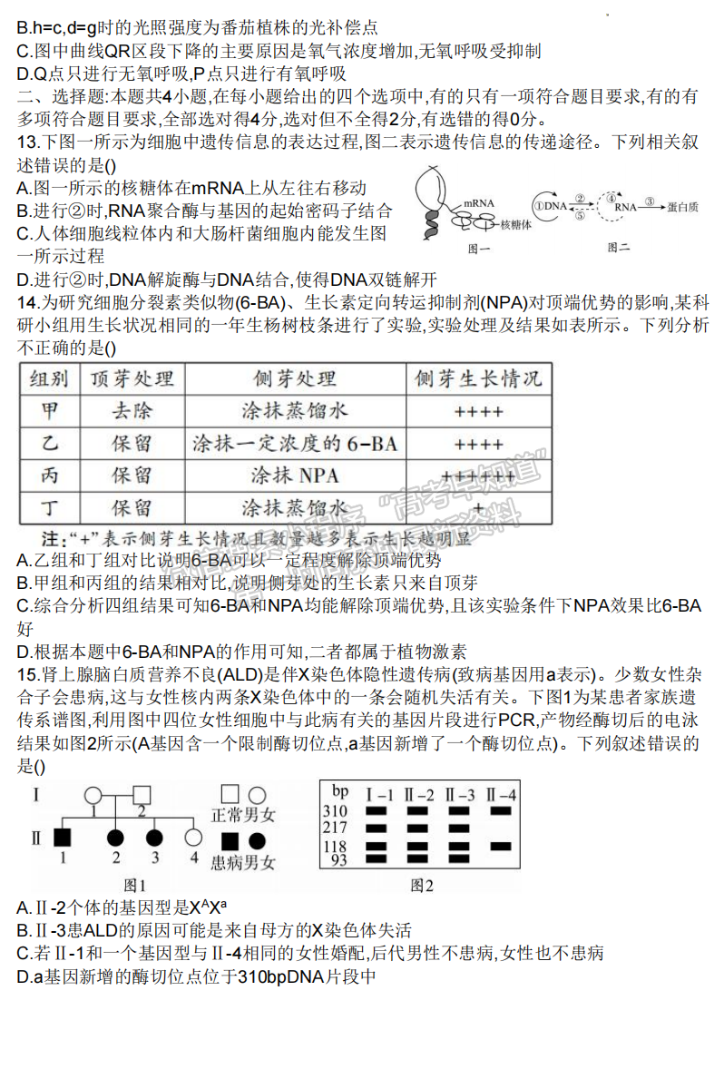 2023湖南邵陽(yáng)一模生物試卷及答案