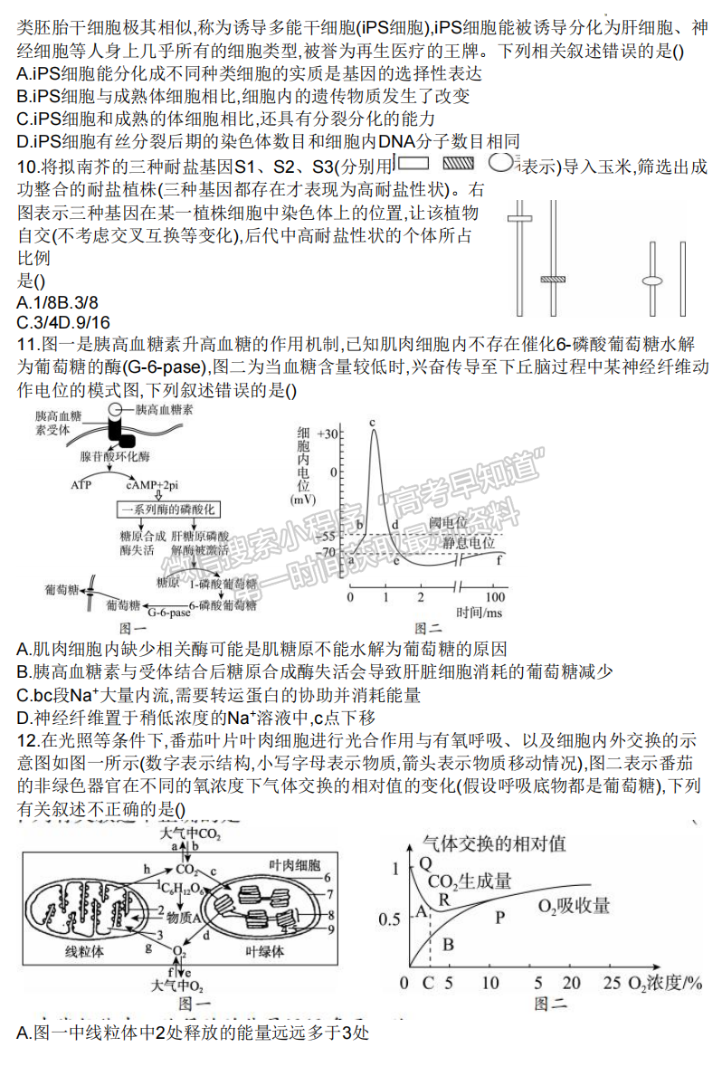 2023湖南邵陽(yáng)一模生物試卷及答案