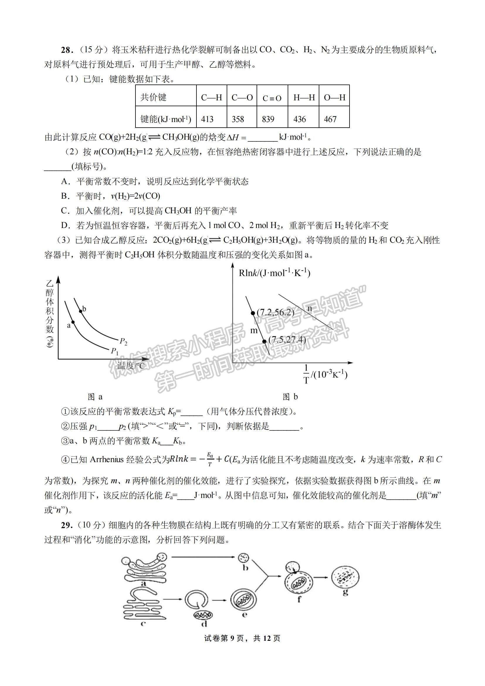 2023四川省成都七中高三上學(xué)期10月階段考試?yán)砭C試題及參考答案